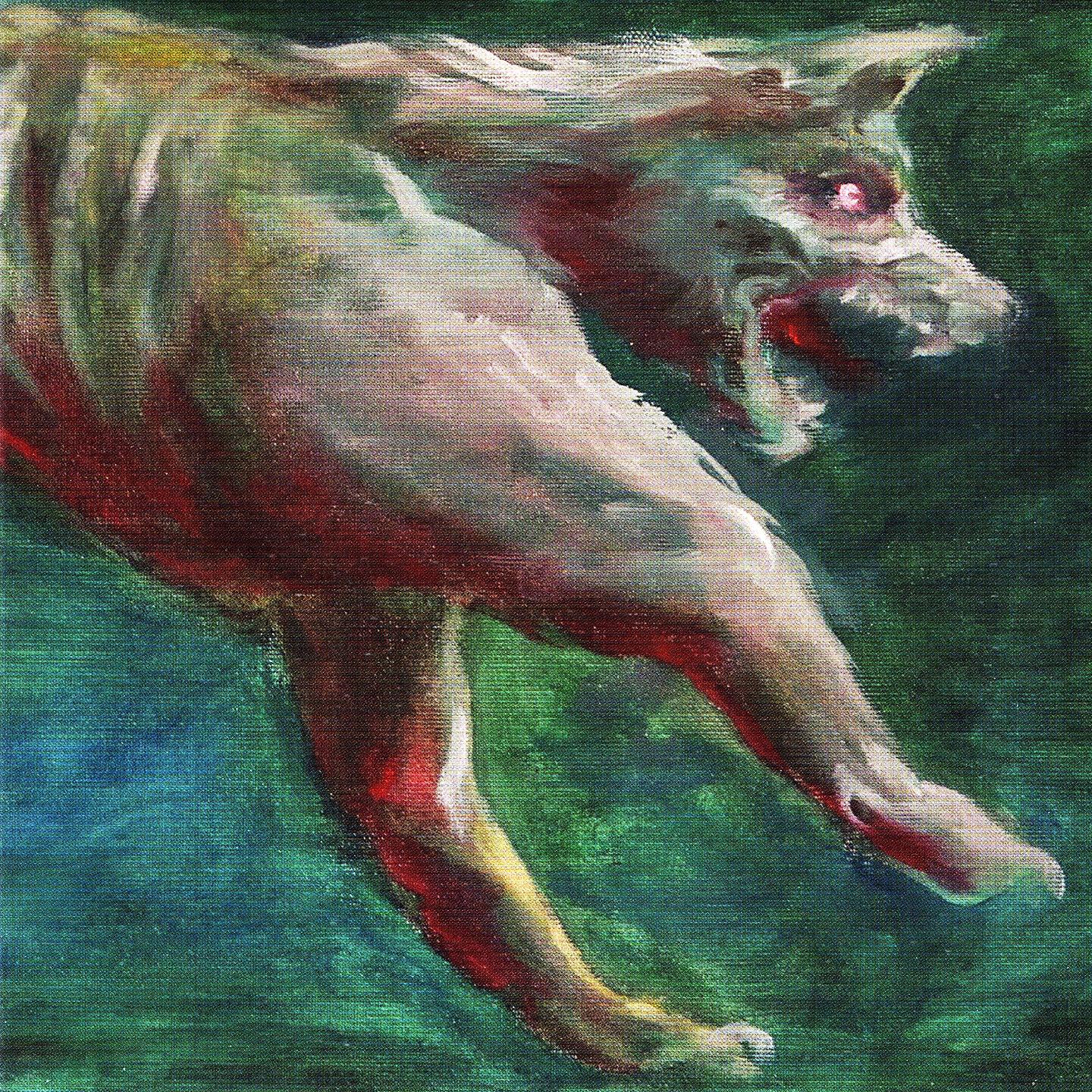 Appaloosa - Ketama Gold
