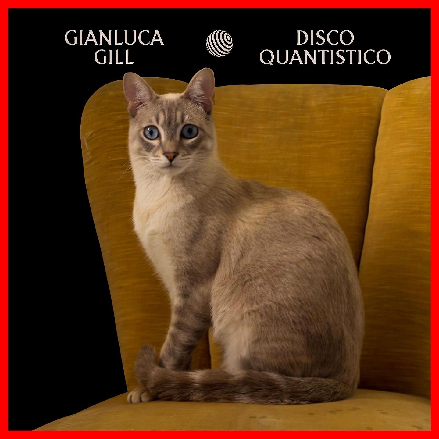 Постер альбома Disco quantistico