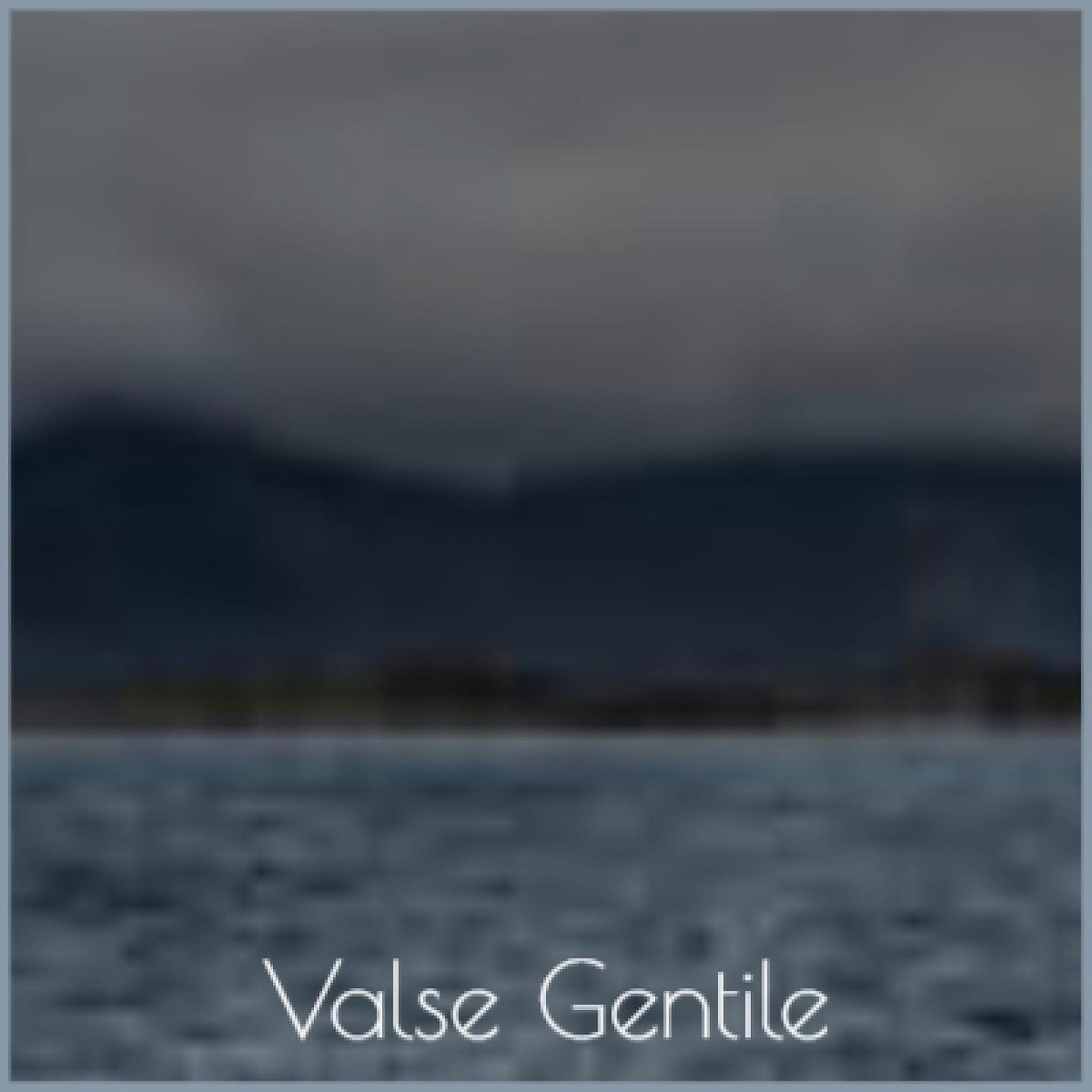 Постер альбома Valse Gentile