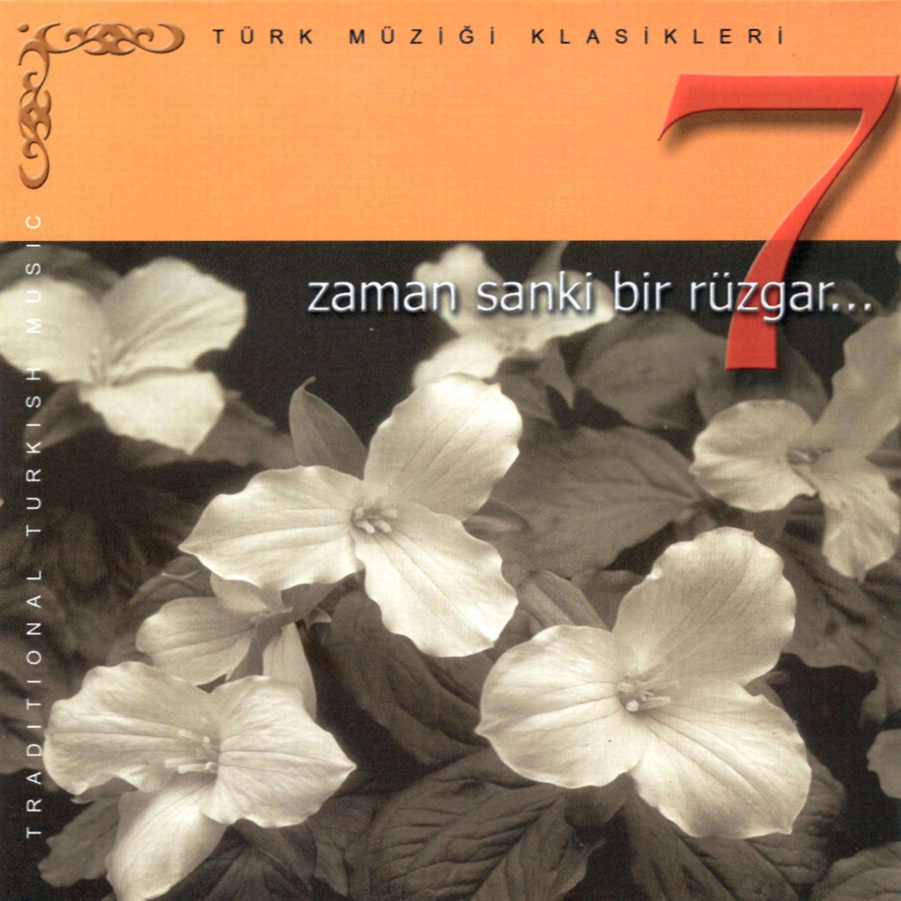 Постер альбома Zaman Sanki Bir Rüzgar 7