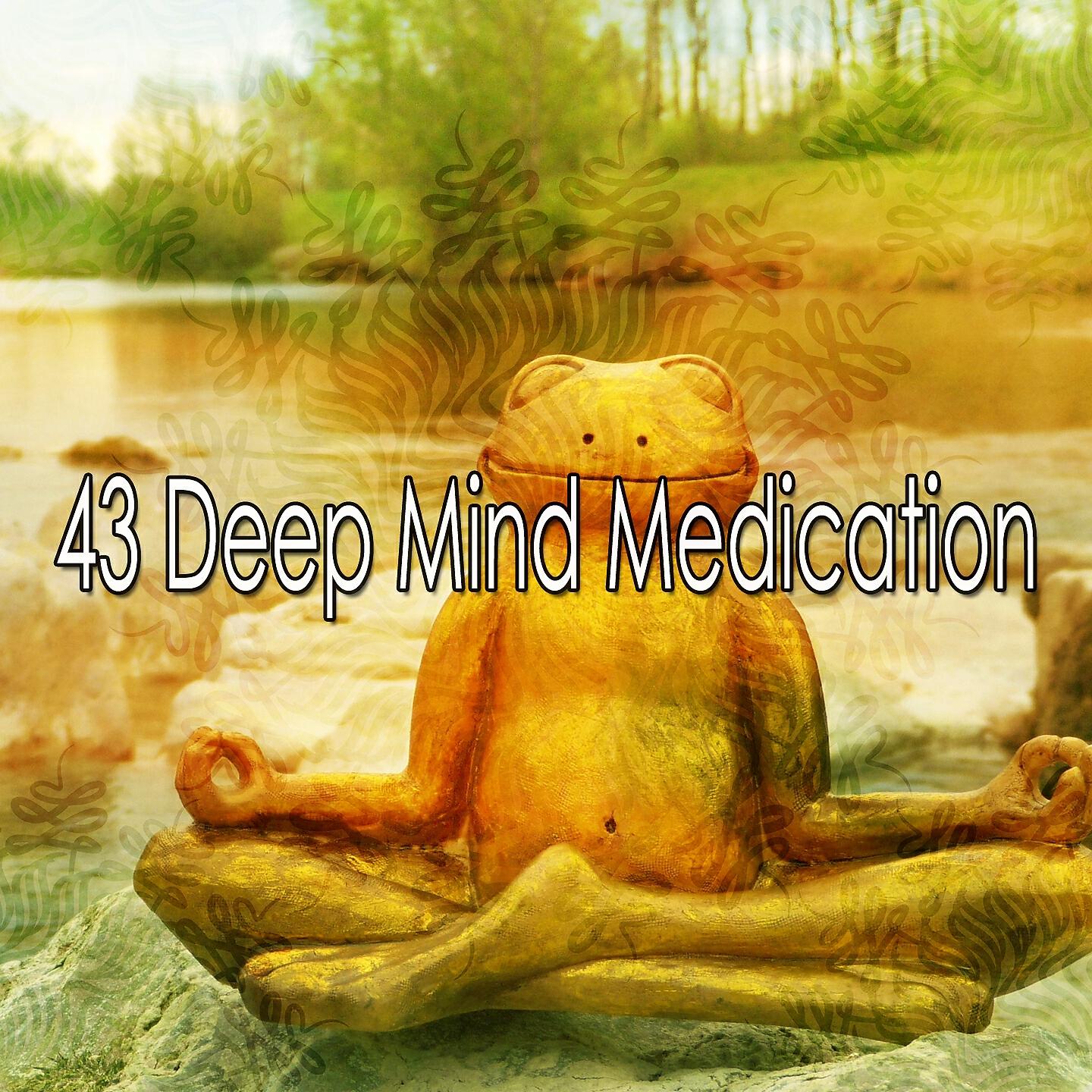 Classical Study Music - Nourishing Yoga Impulse