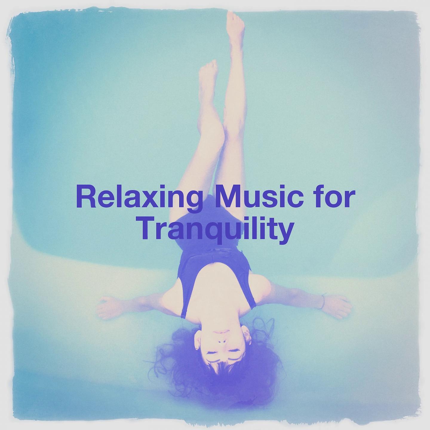 Постер альбома Relaxing Music for Tranquility