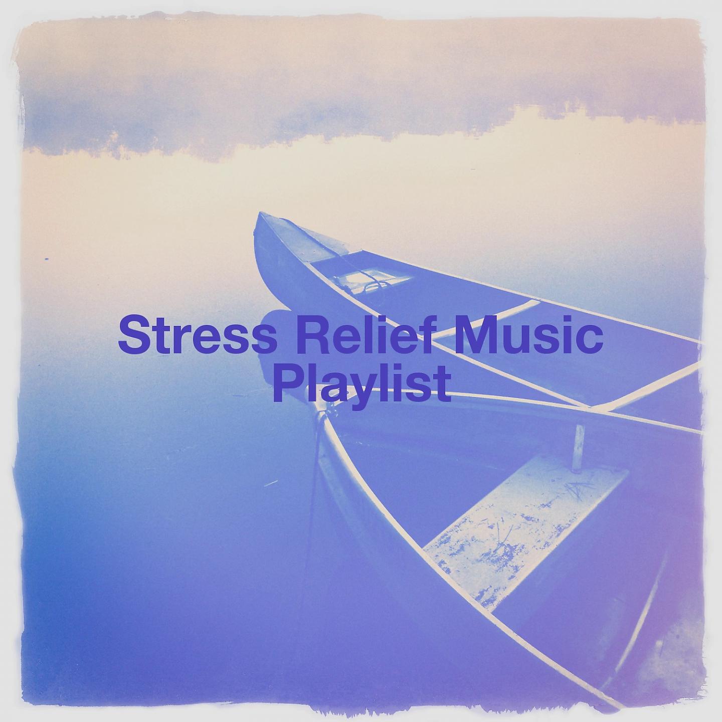 Постер альбома Stress Relief Music Playlist