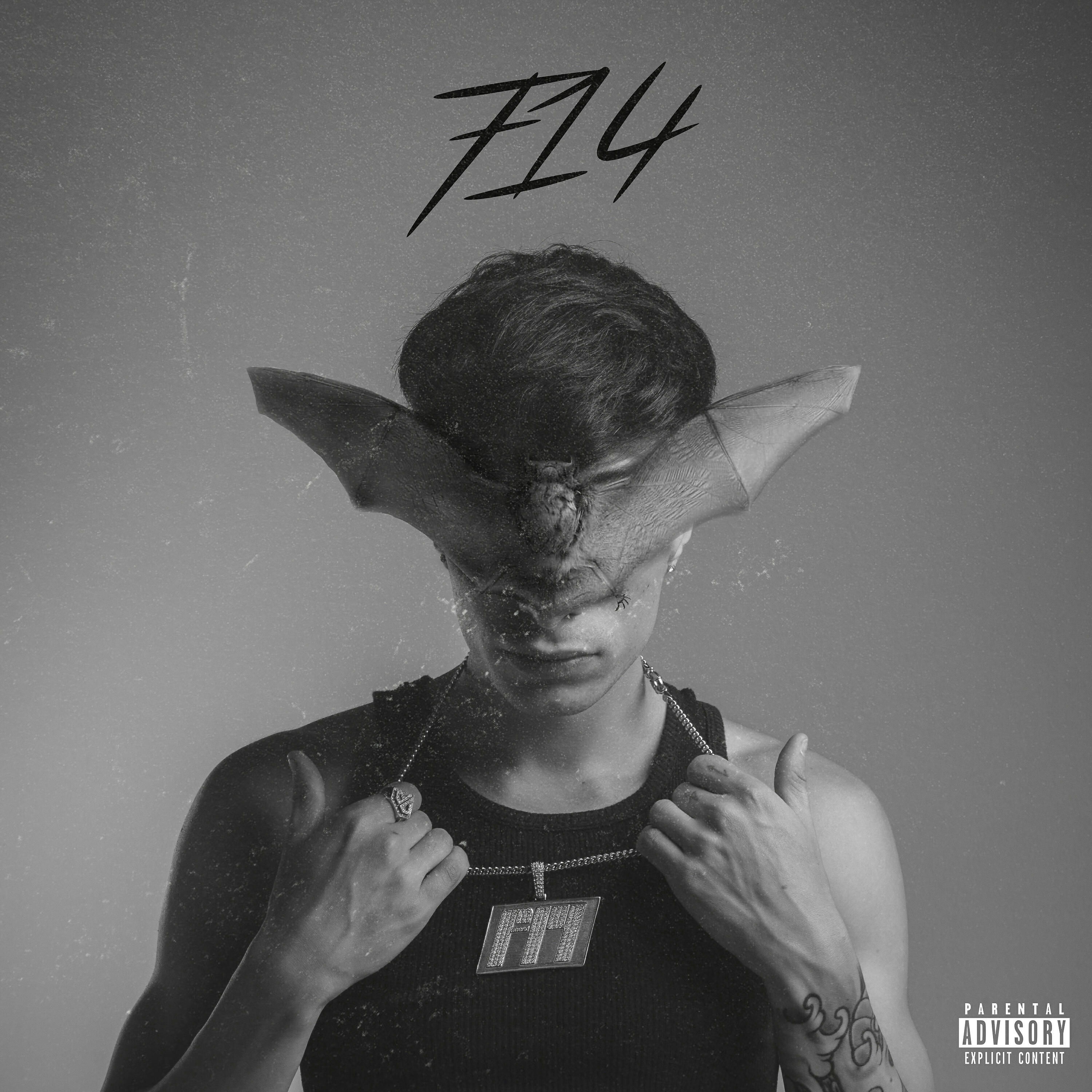 Faxo - Conexiones
