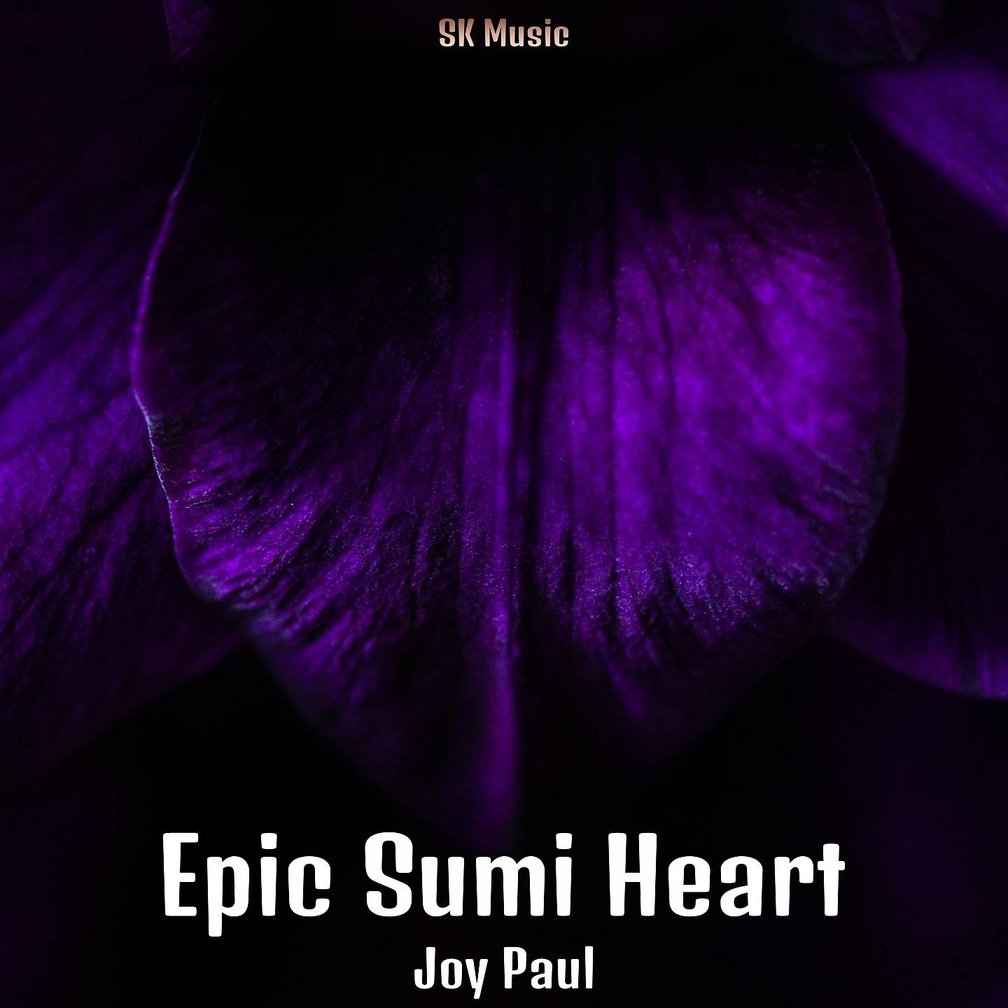 Постер альбома Epic Sumi Heart