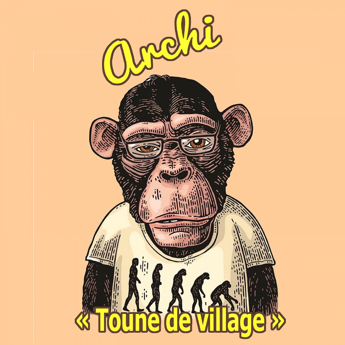 Постер альбома Toune de village