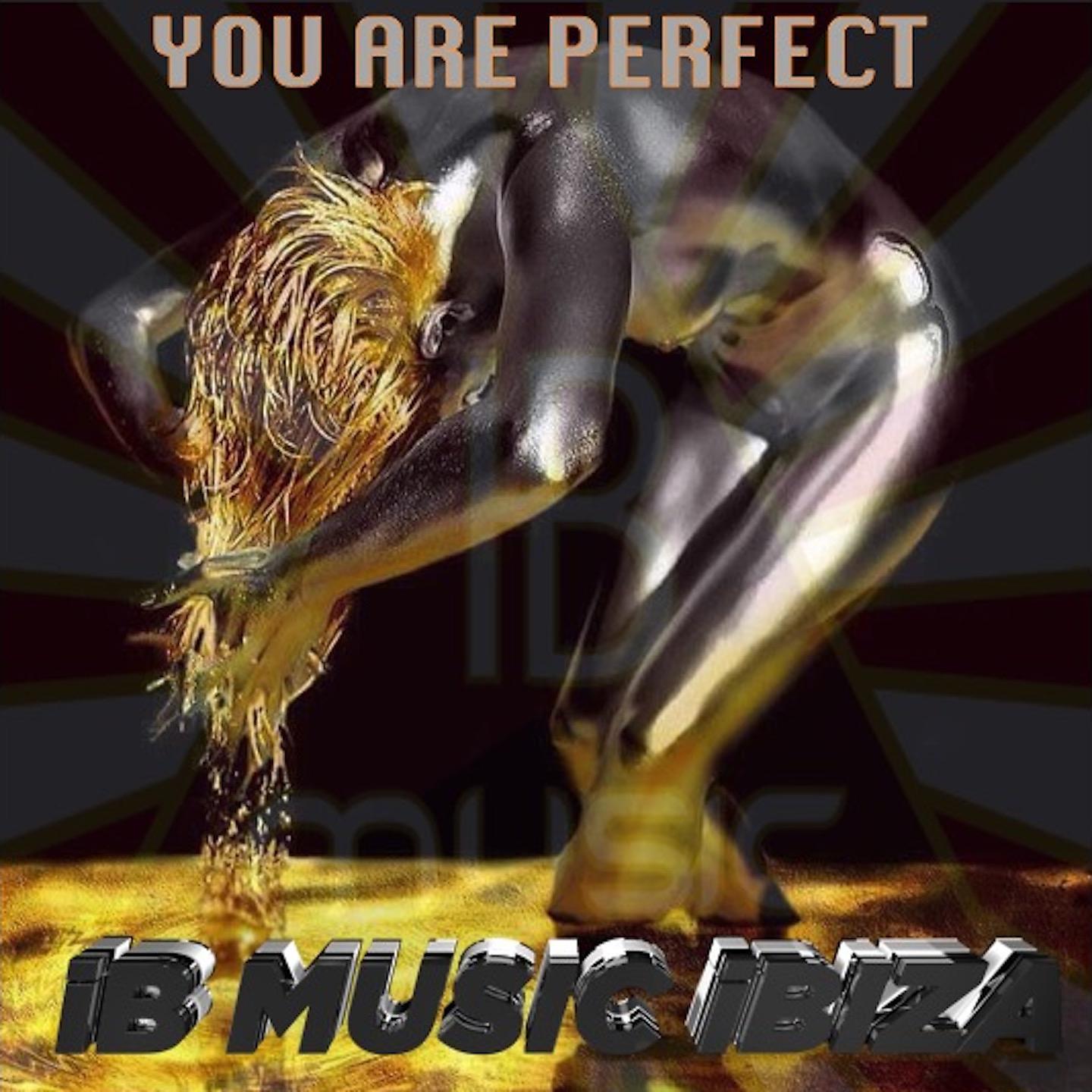 Постер альбома You Are Perfect