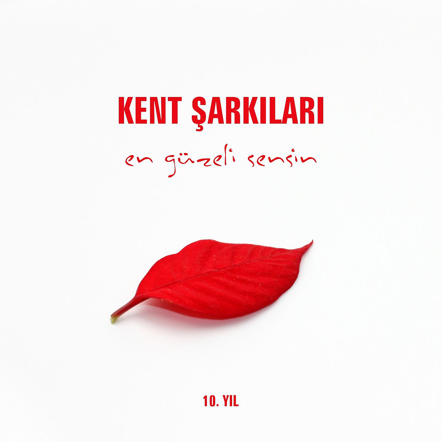 Постер альбома En Güzeli Sensin