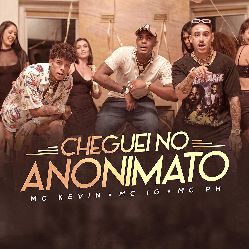 Постер альбома Cheguei No Anonimato