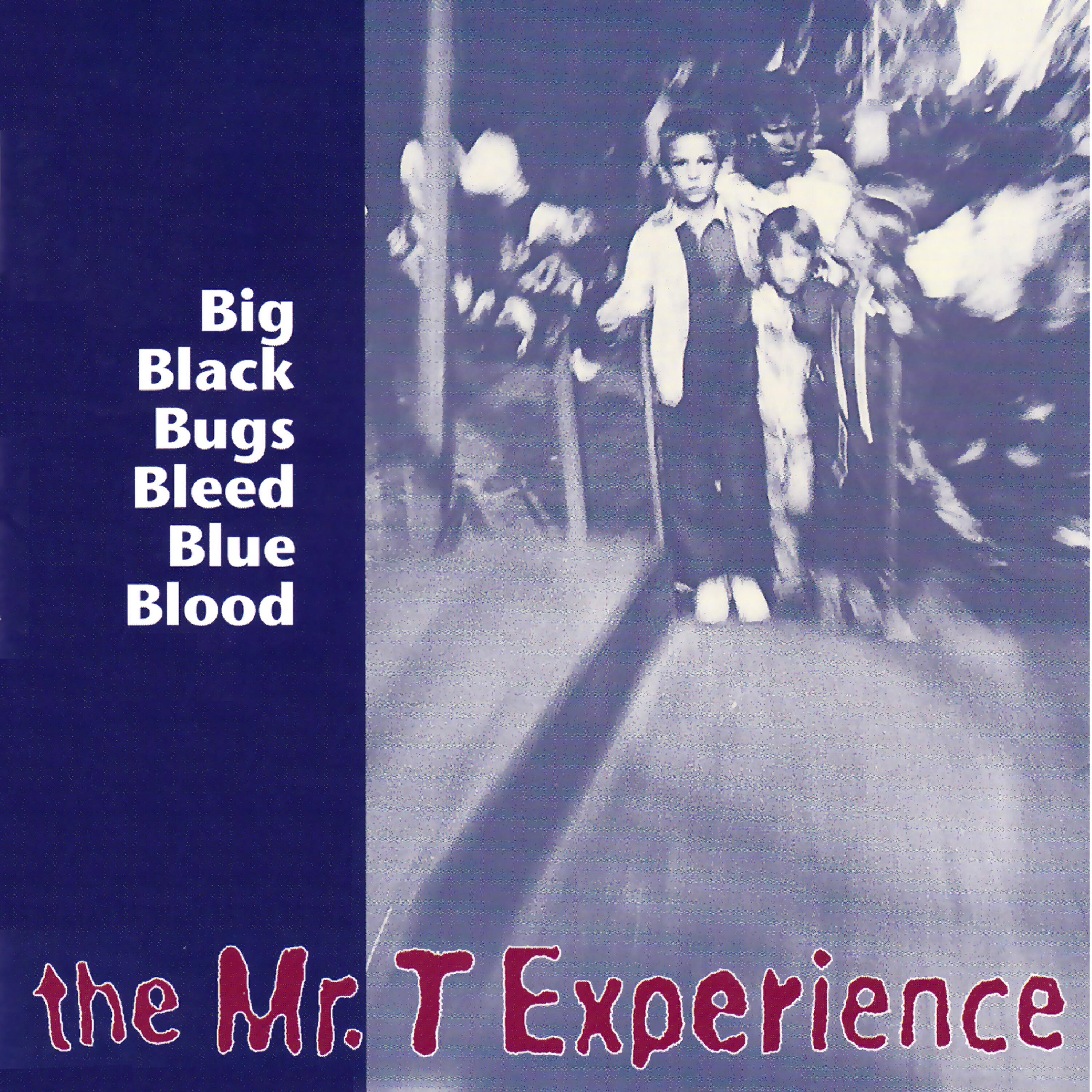 The Mr. T Experience - On the Team