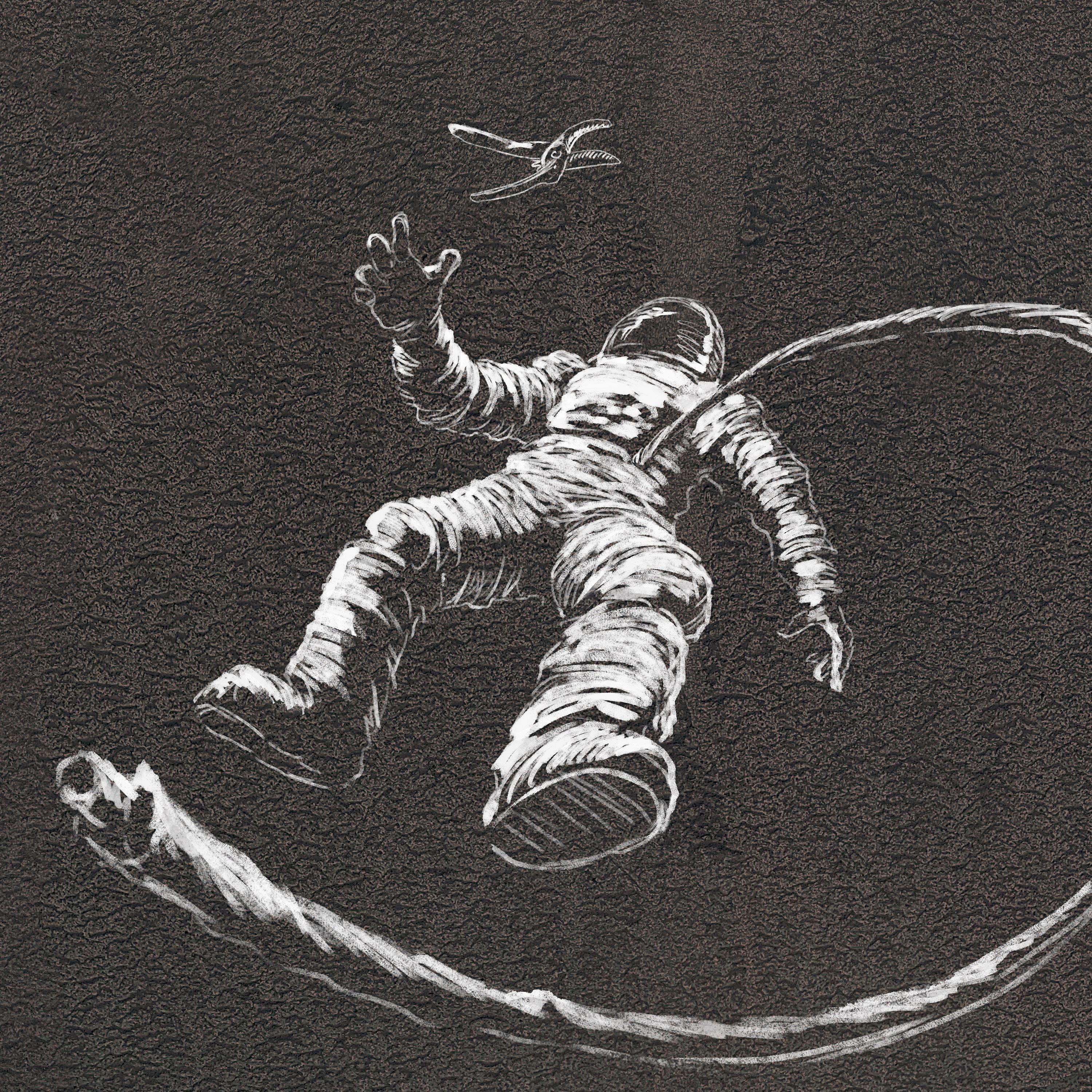 Постер альбома The Space Voyage
