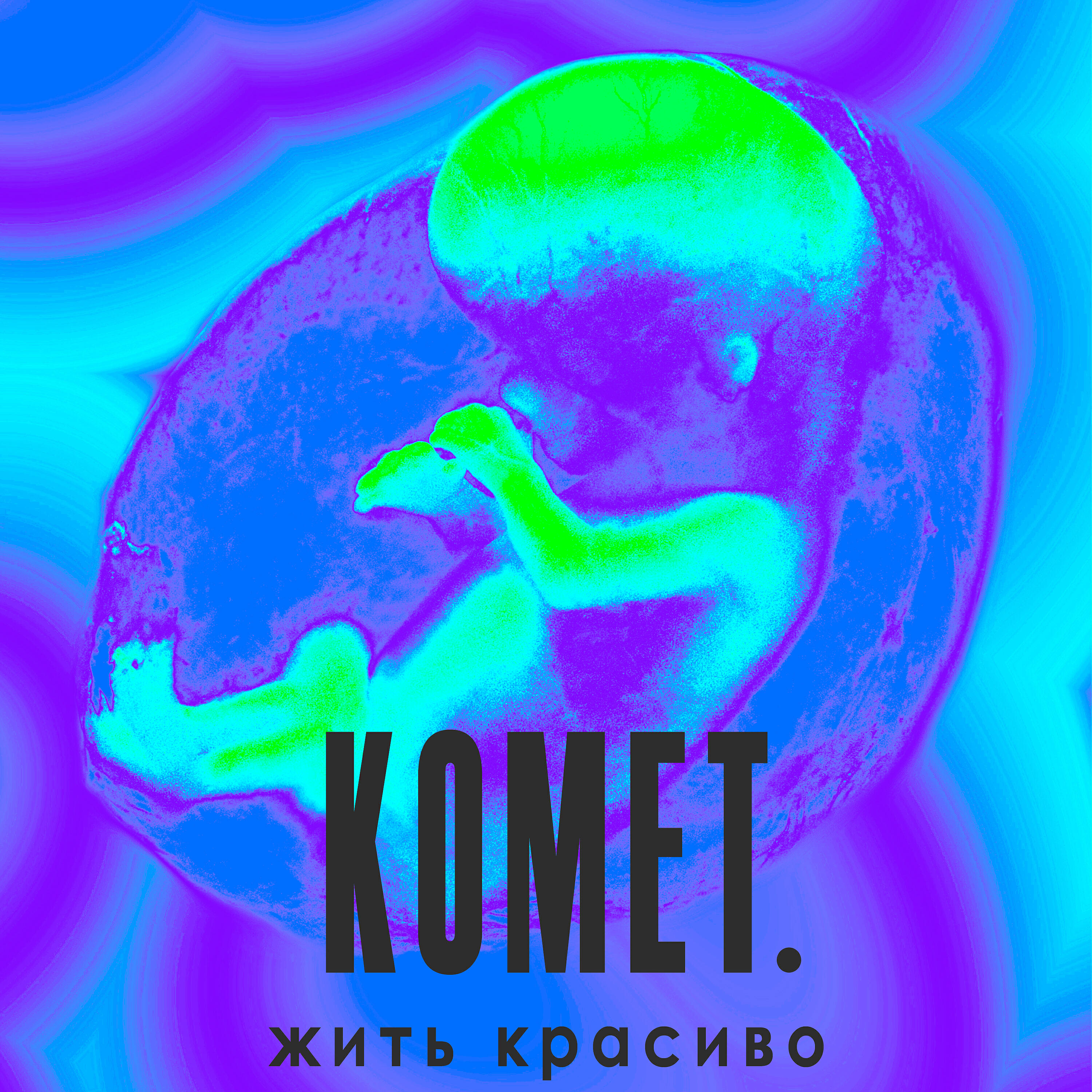Komet. - Жить красиво