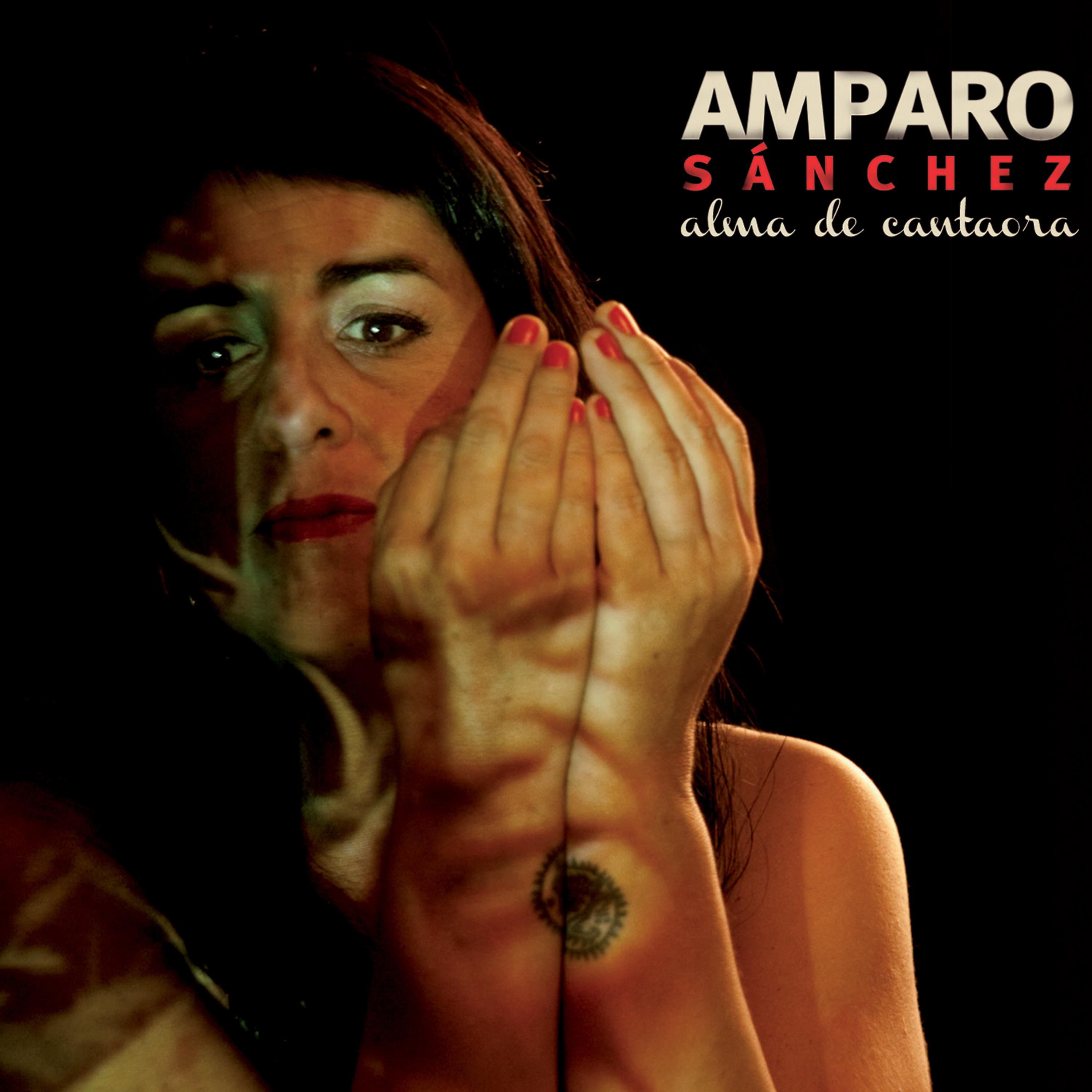 Постер альбома Alma de Cantaora