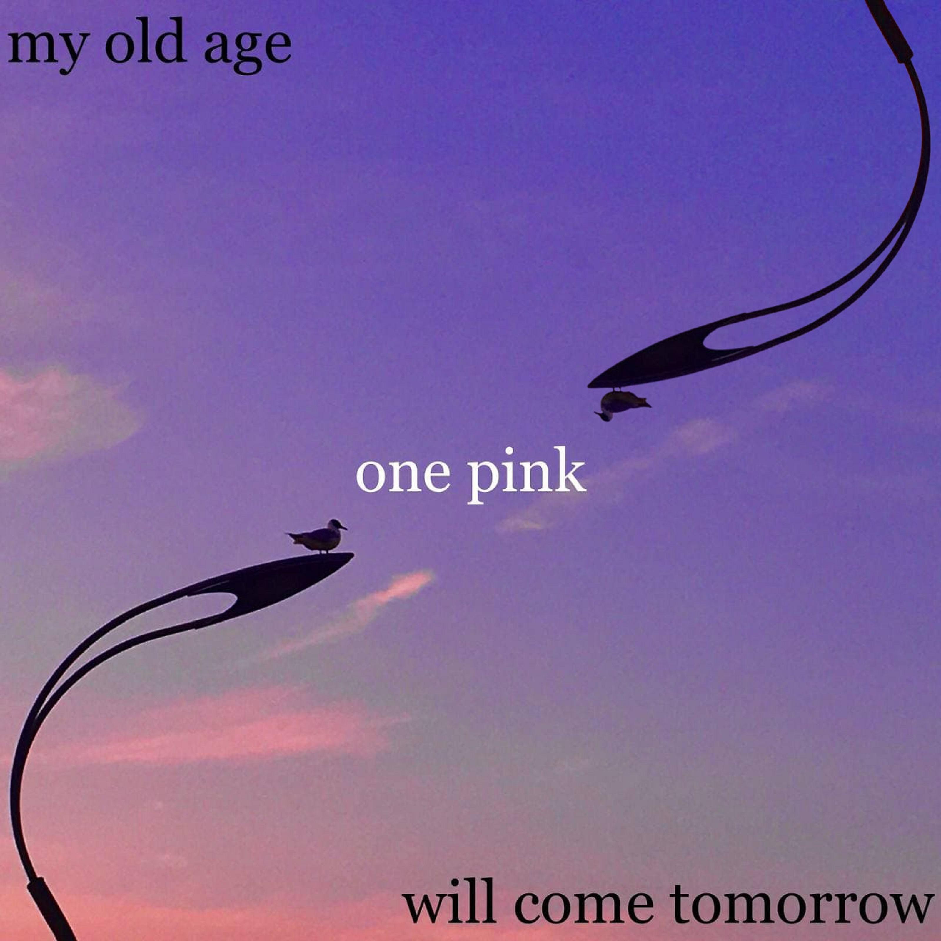 Постер альбома One Pink
