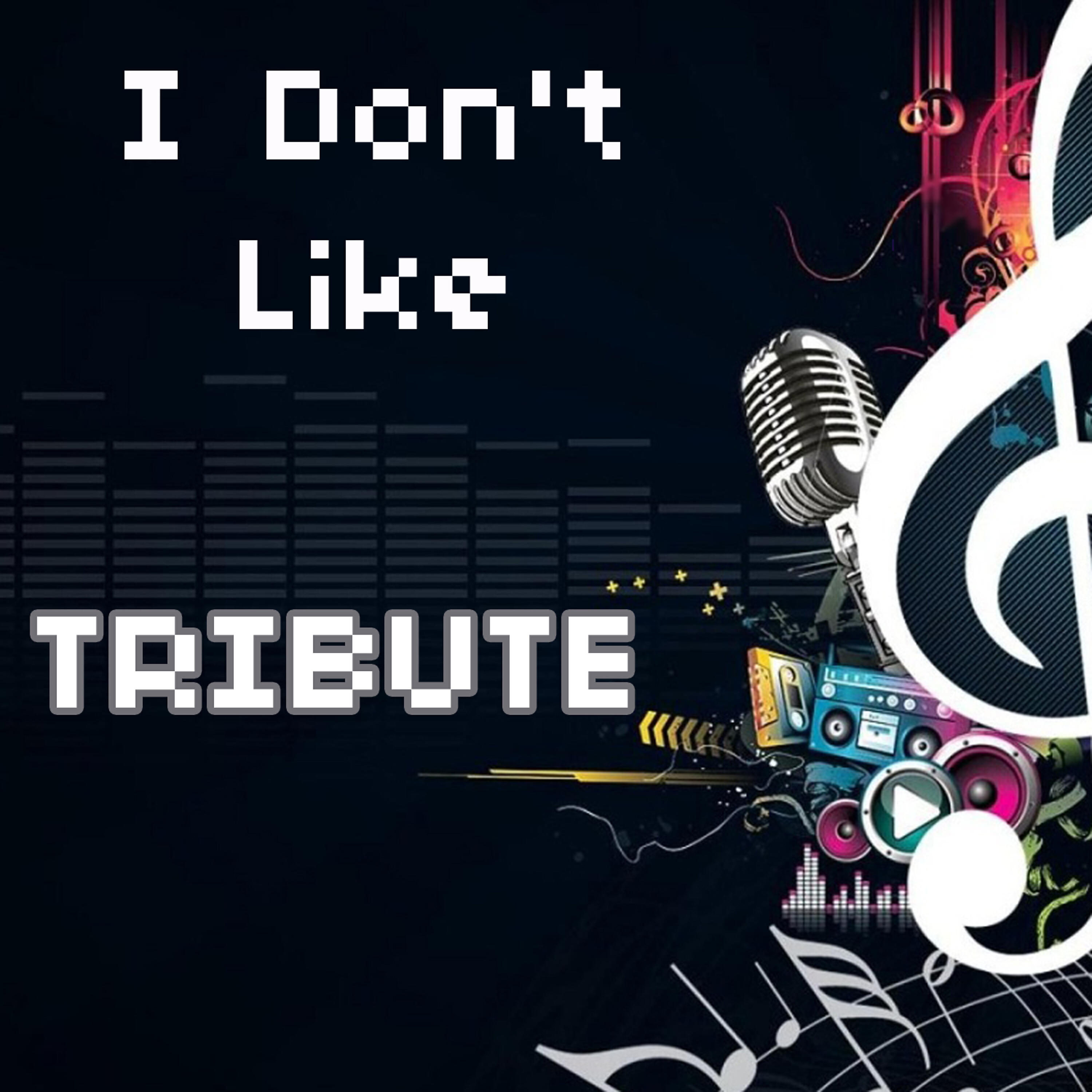 Tribute Team - I Don't Like
