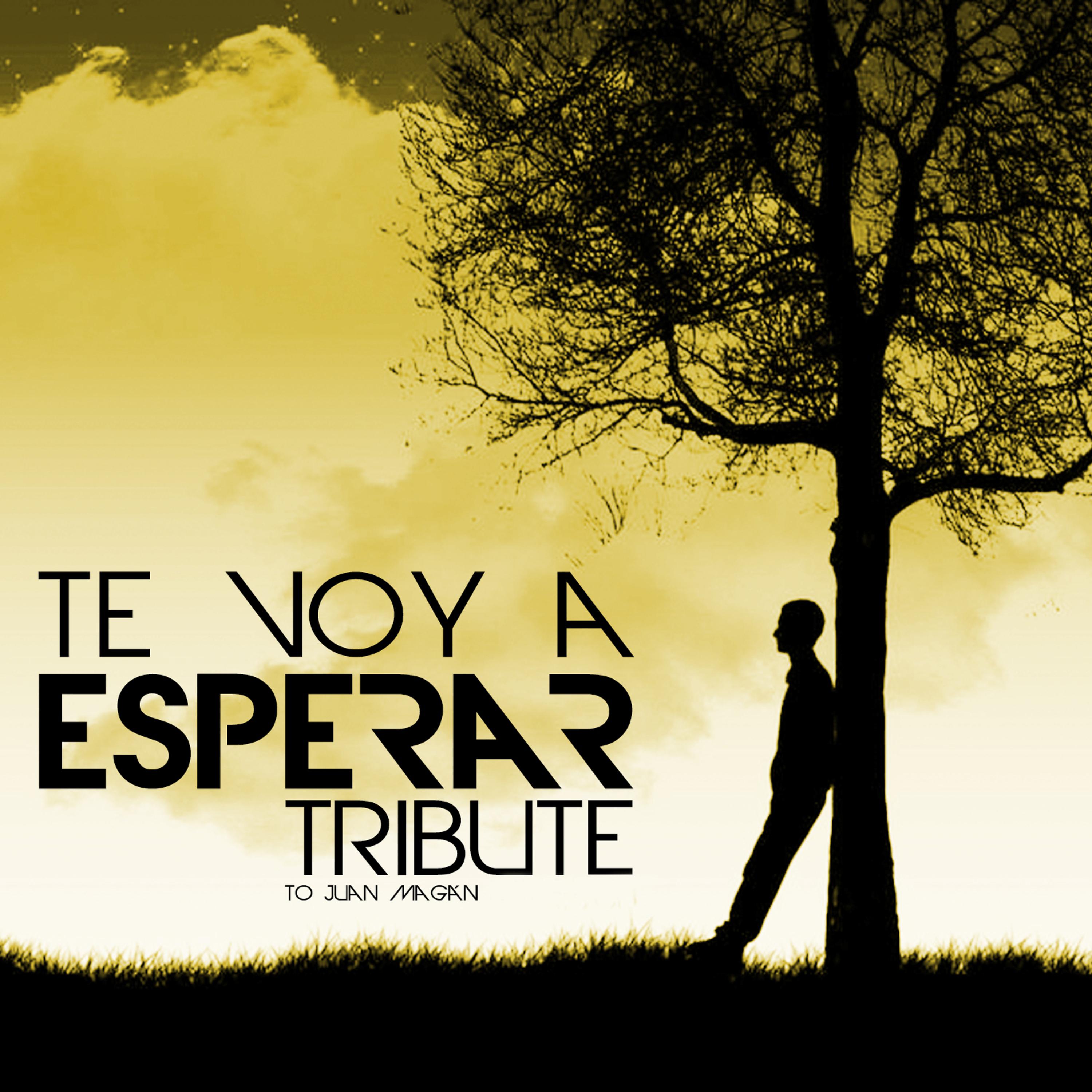 Постер альбома Te Voy a Esperar. Tribute to Juan Magán