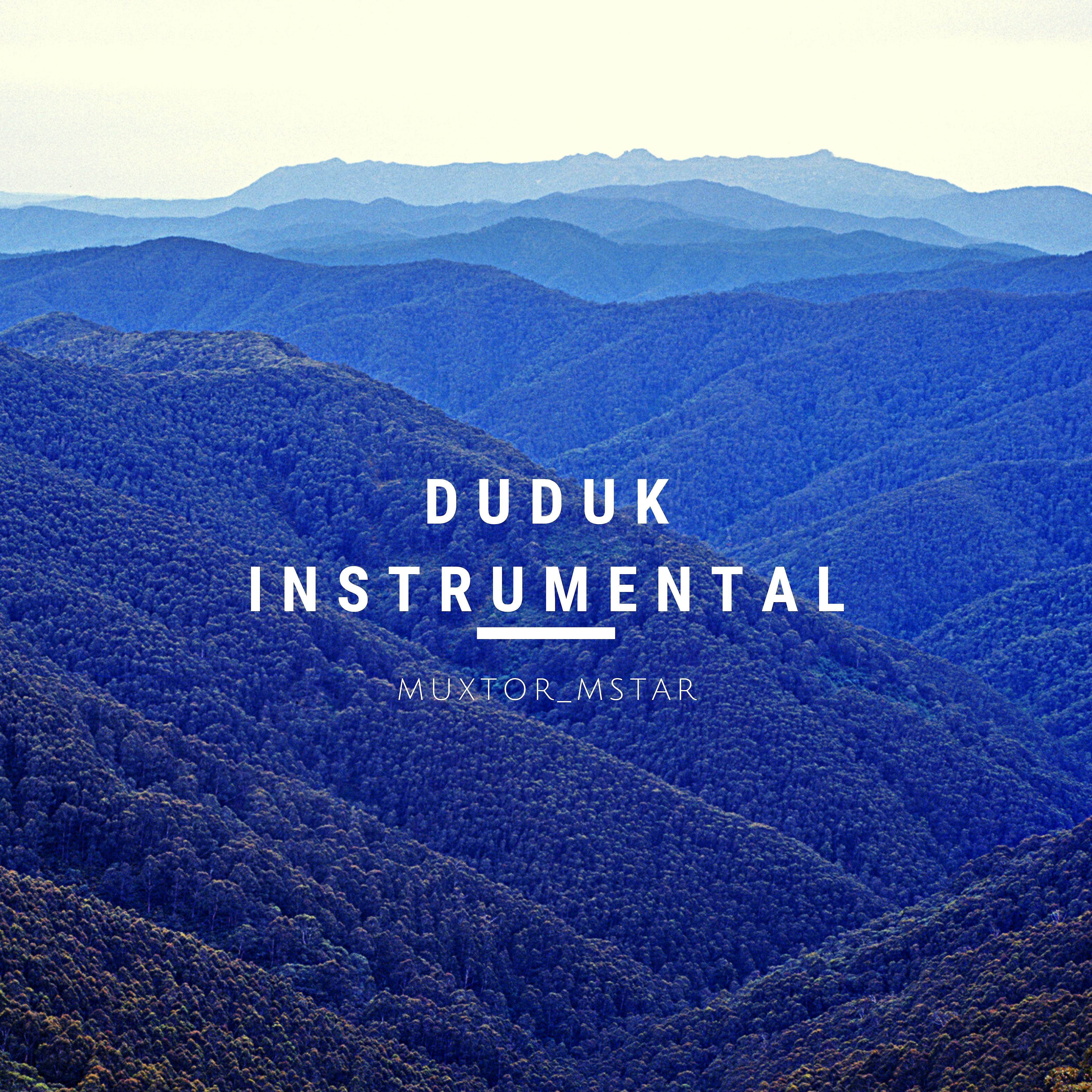 Постер альбома Duduk Instrumental