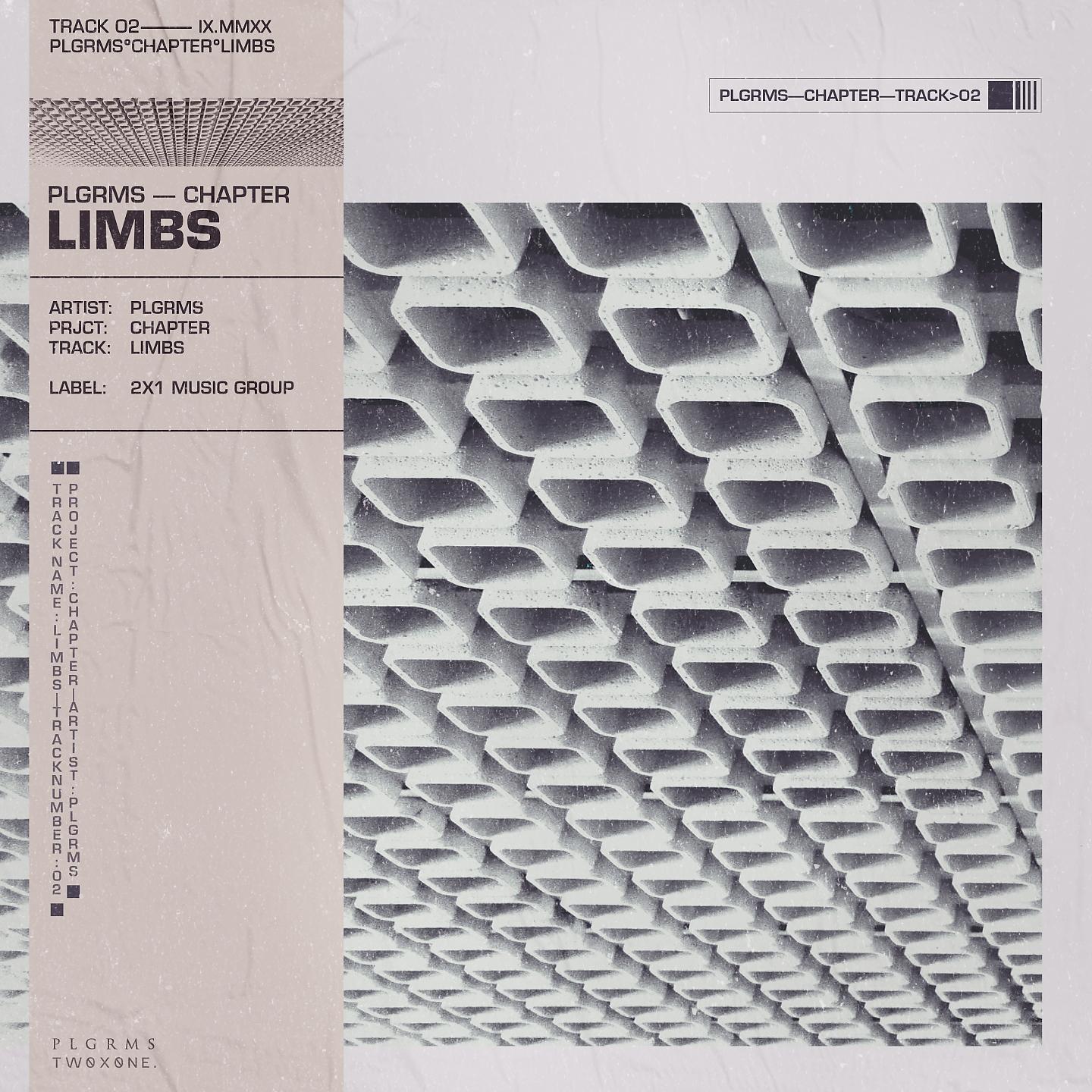 Постер альбома Limbs