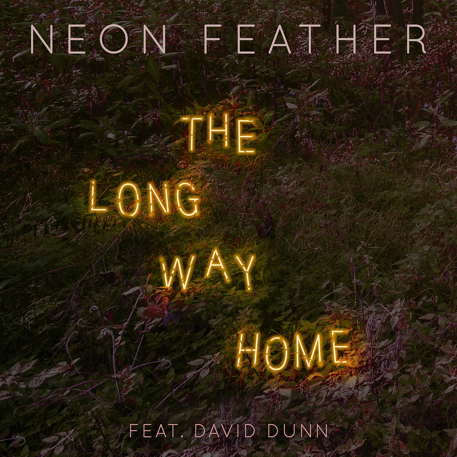 Постер альбома The Long Way Home (feat. David Dunn)