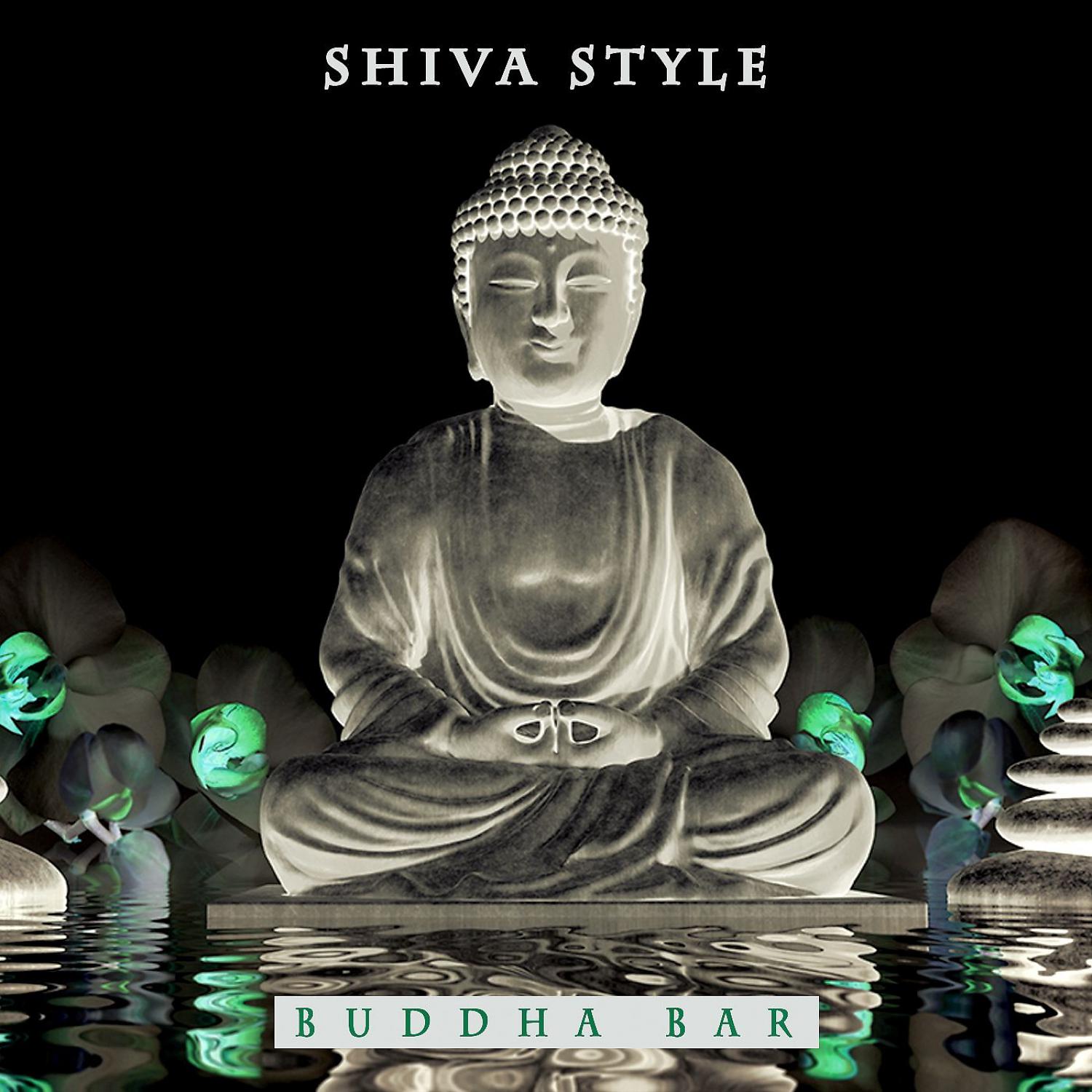 Постер альбома Shiva Style