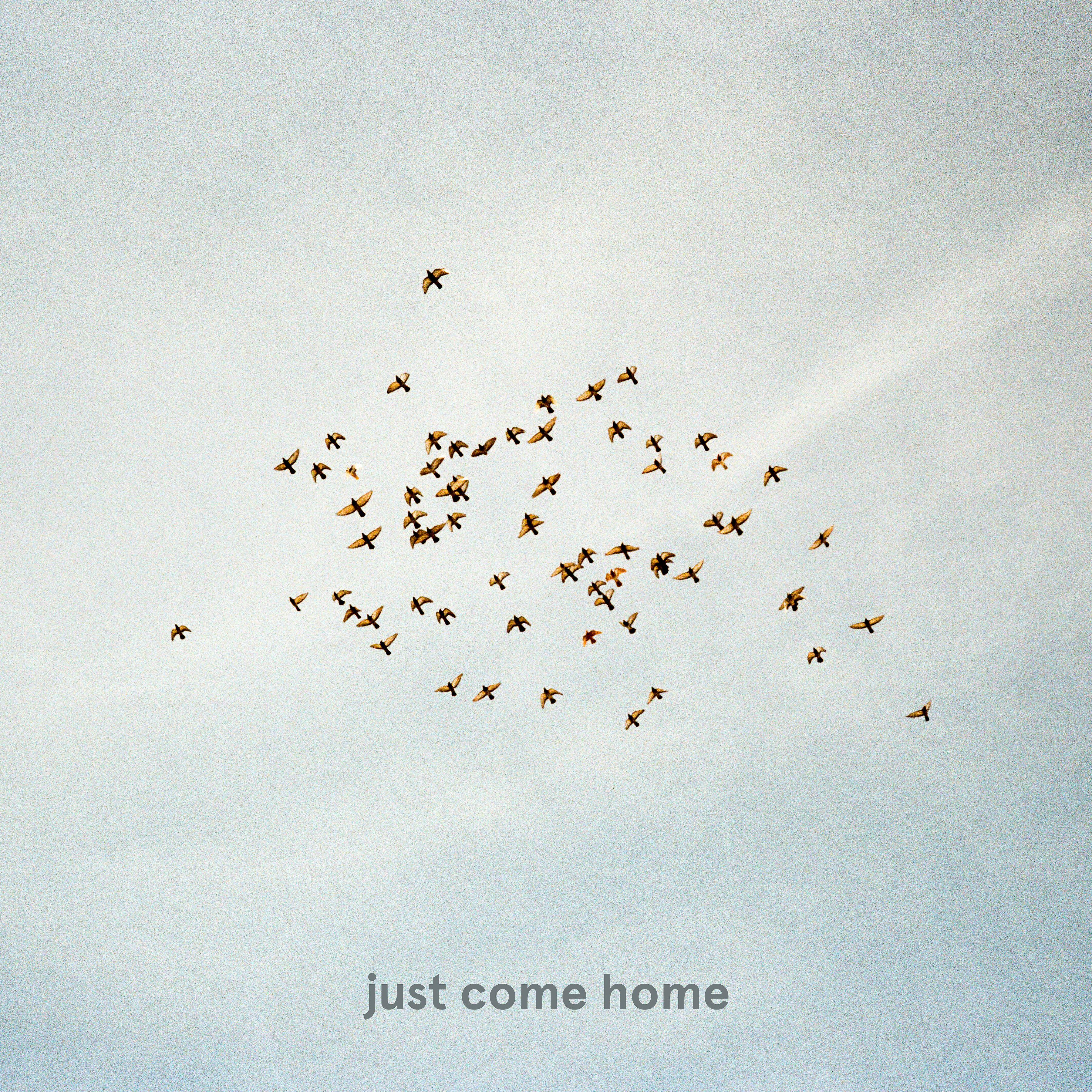 Постер альбома just come home (feat. The Field Tapes & Ezzy)