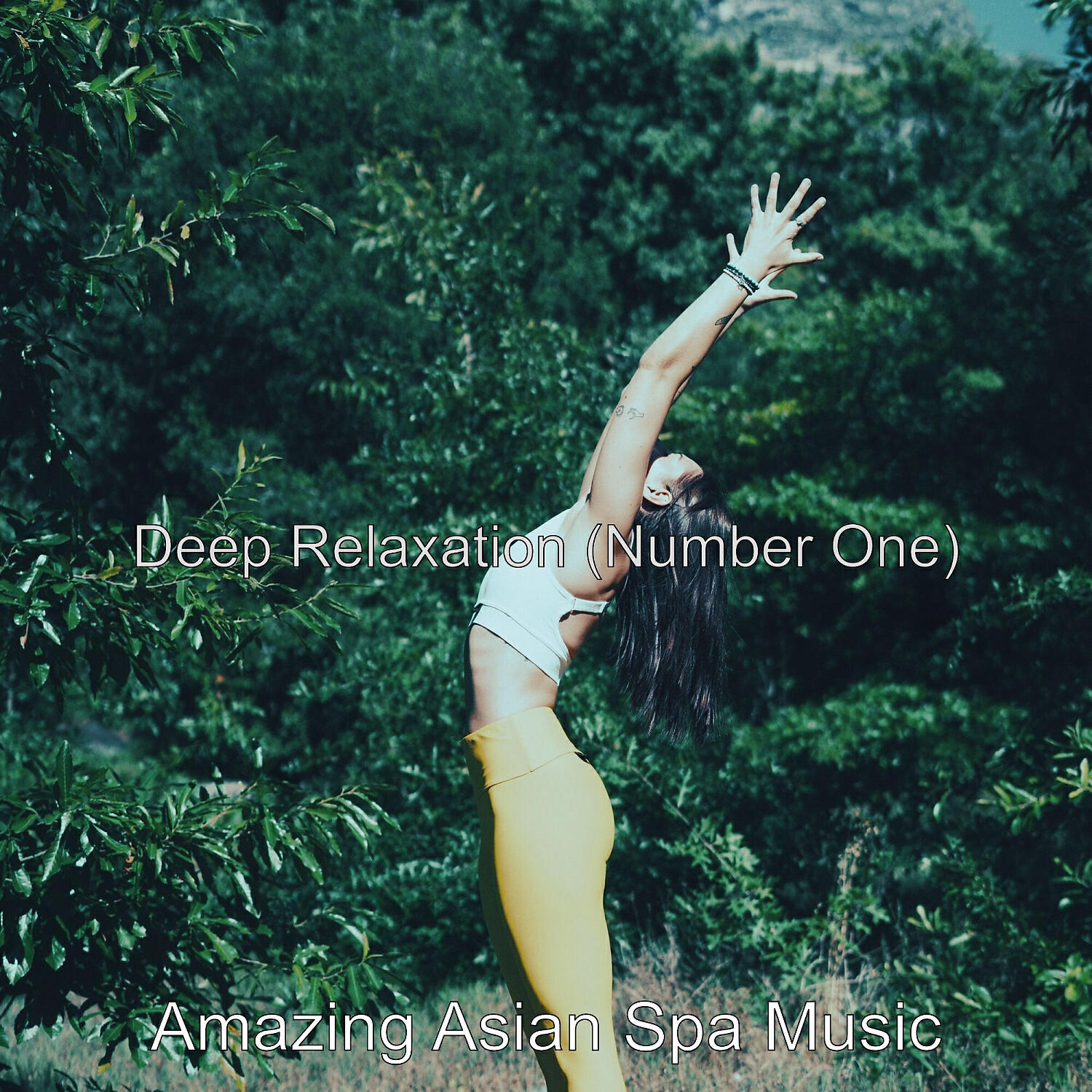 Amazing Asian Spa Music - Number One (Music)
