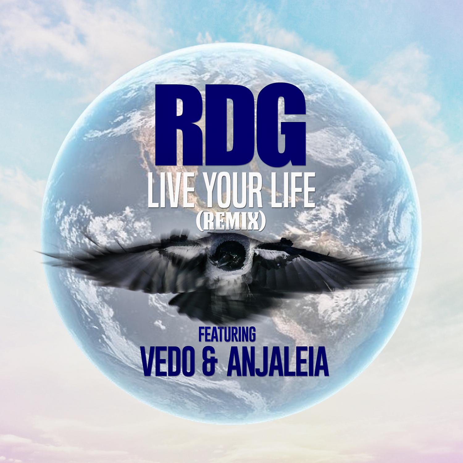 Постер альбома Live Your Life (feat. Vedo & Anjaleia) [Remix]