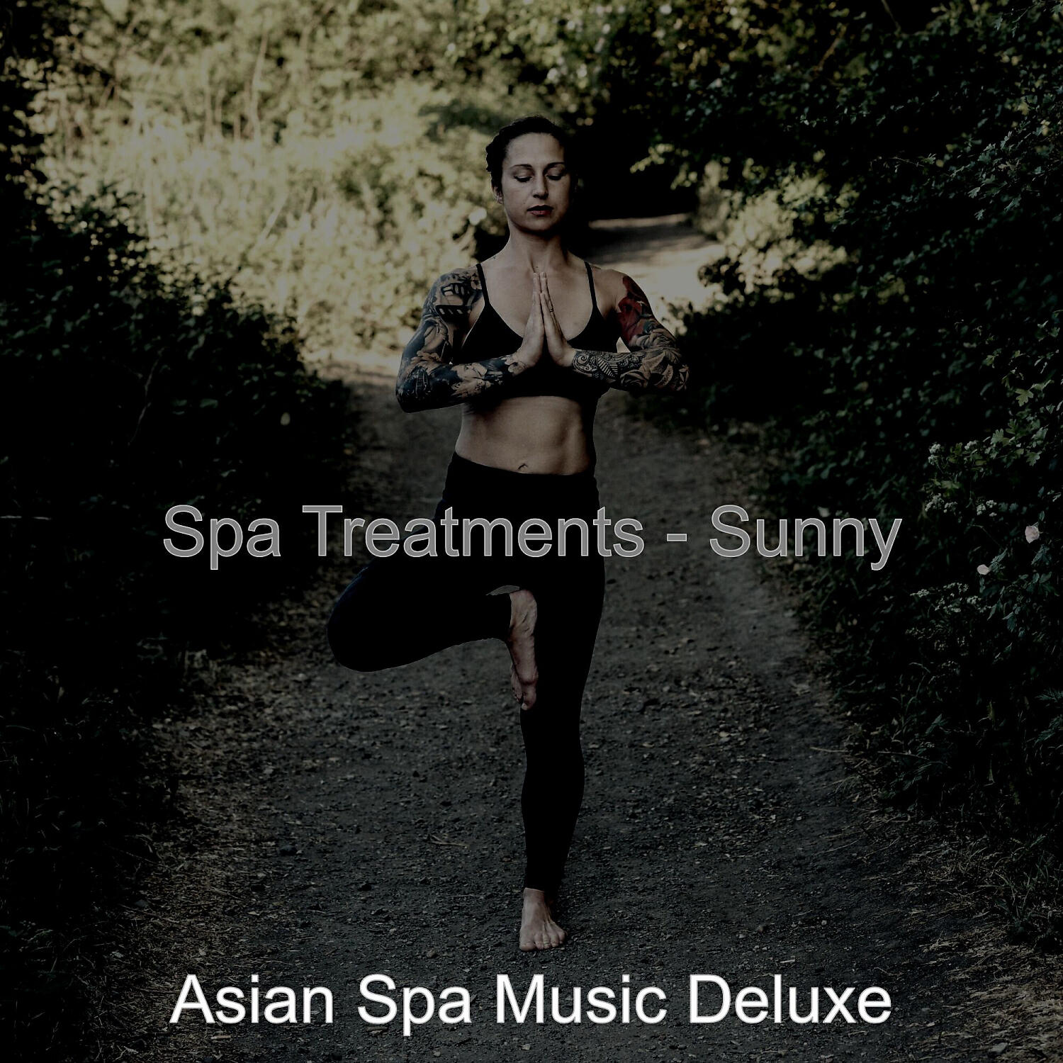 Asian Spa Music Deluxe - Dream Like (Spa Treatments)