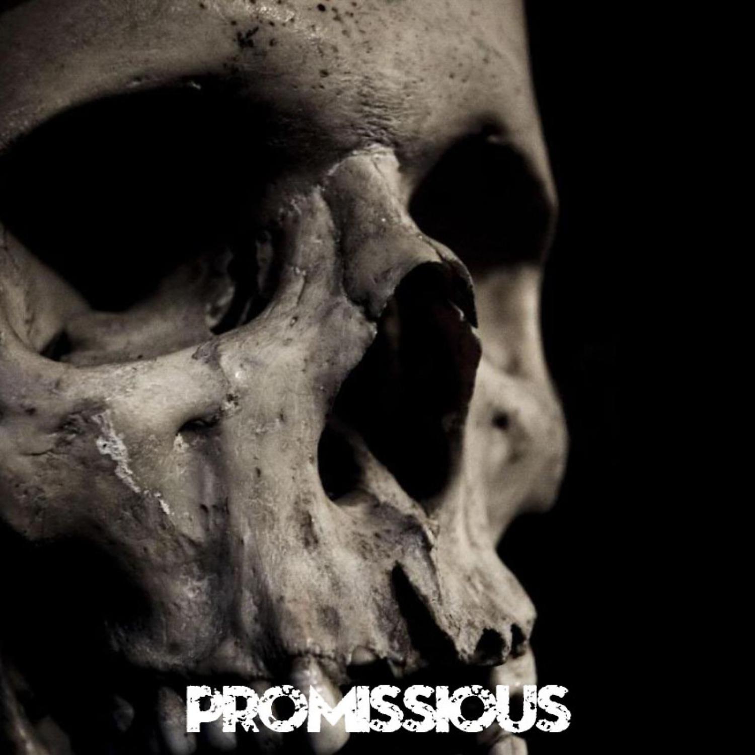 Постер альбома Promissious