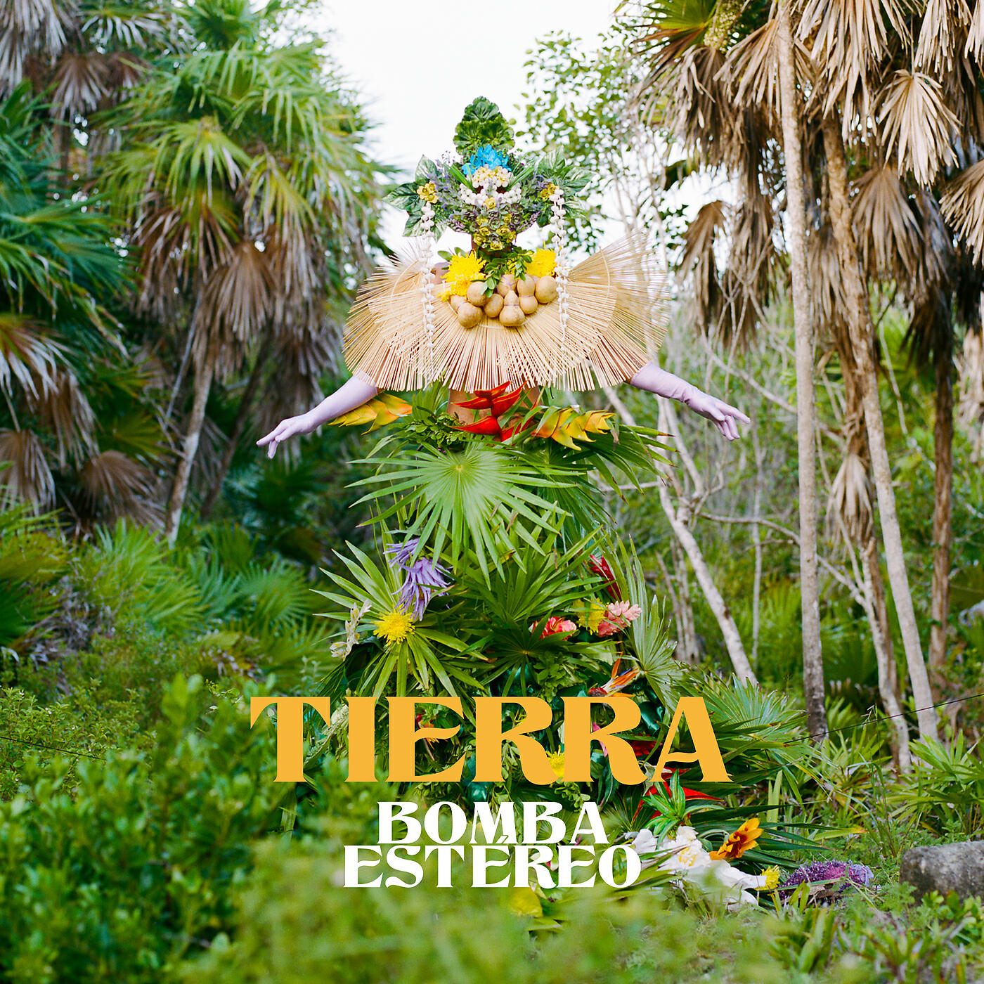 Bomba Estereo - Lento
