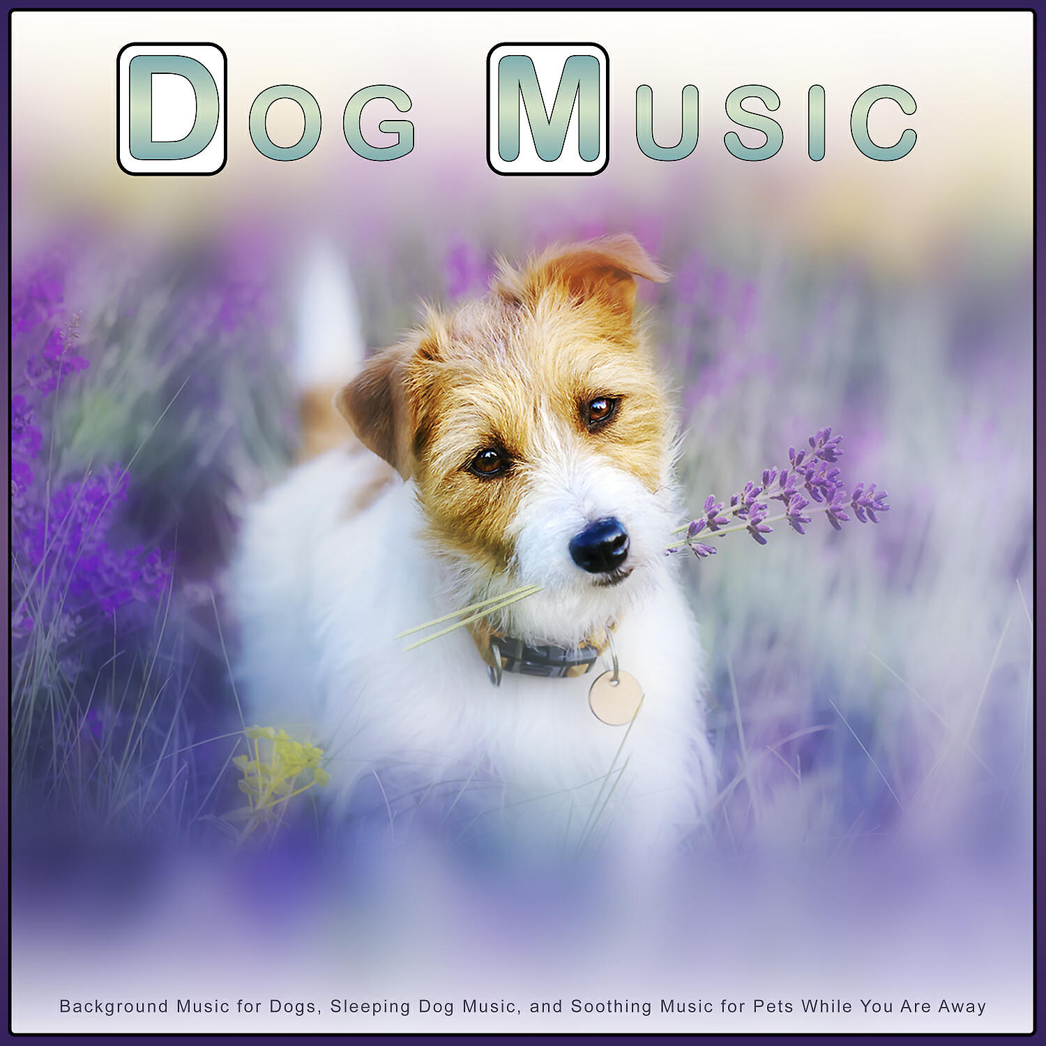 Music For Dogs - Calm Piano Music For Dogs and Bird Sounds