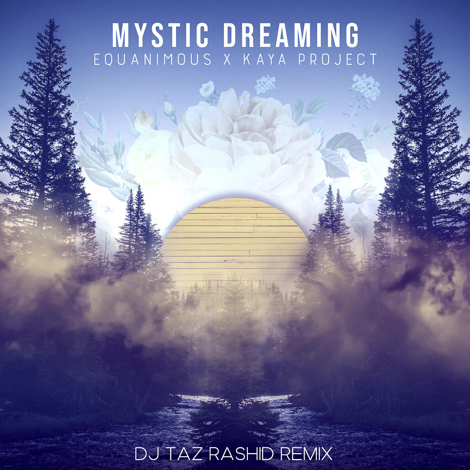 Equanimous - Mystic Dreaming (DJ Taz Rashid Remix)