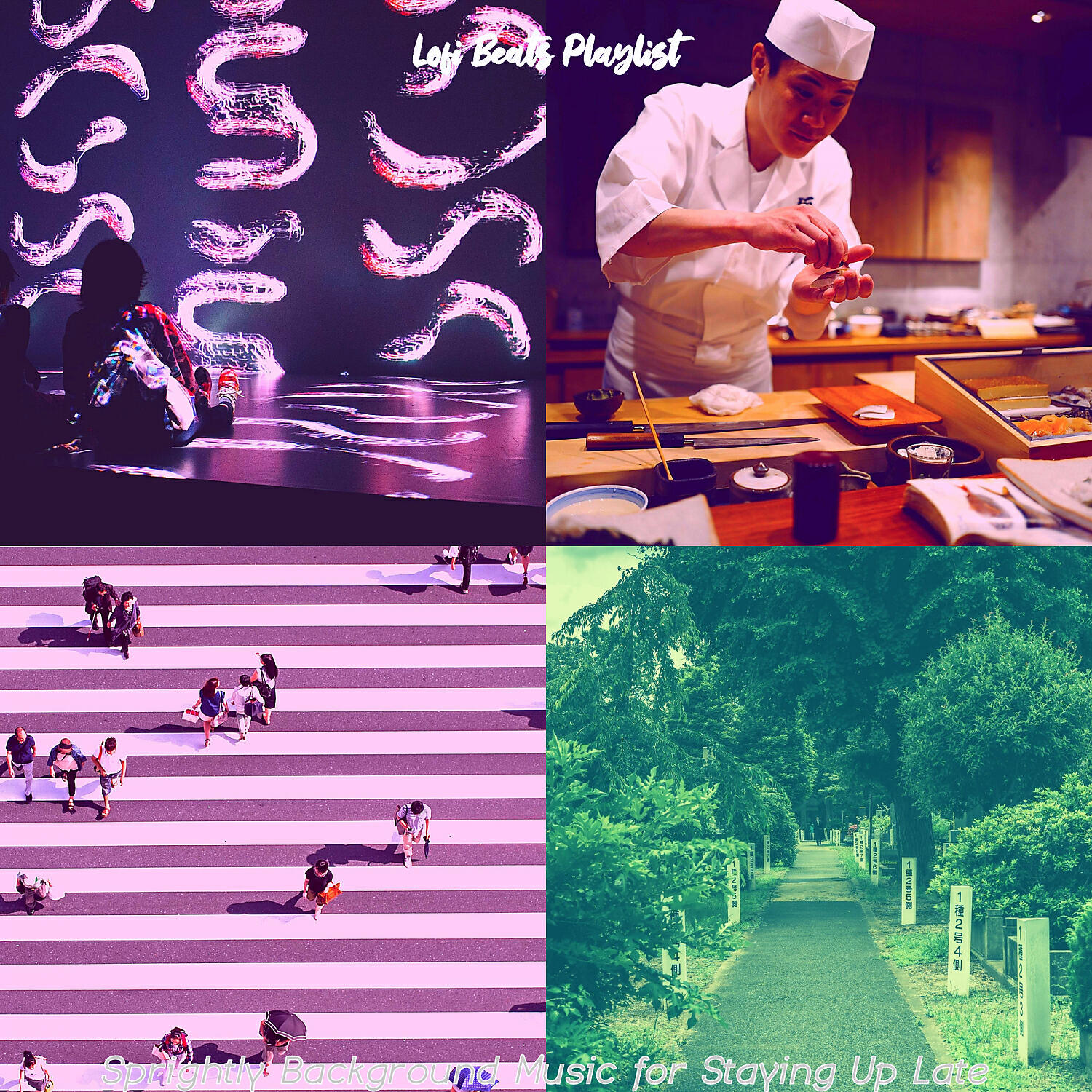 Lofi Beats Playlist - Refined Music for Reducing Stress