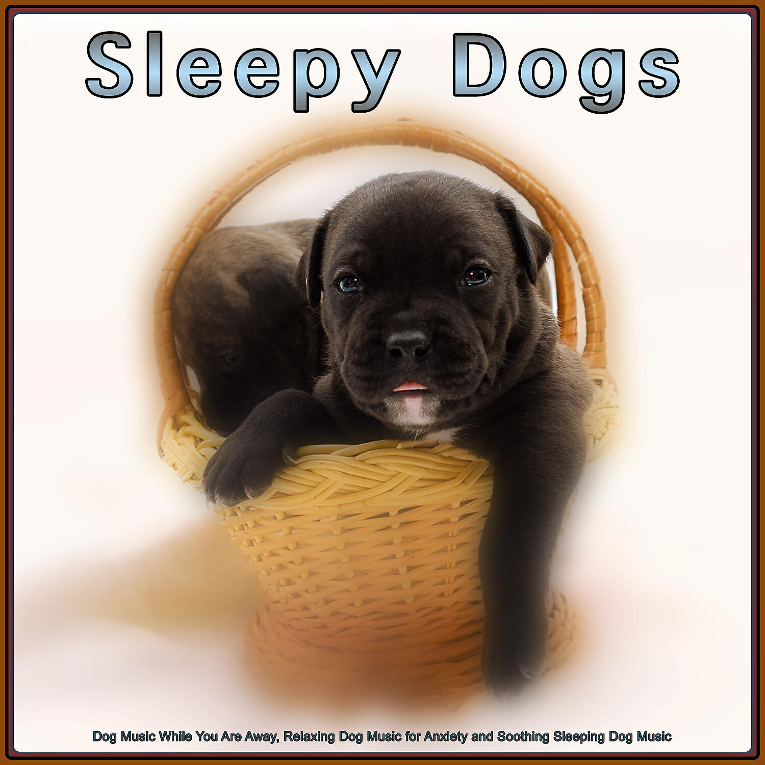 Music For Dogs - The Best Dog Music