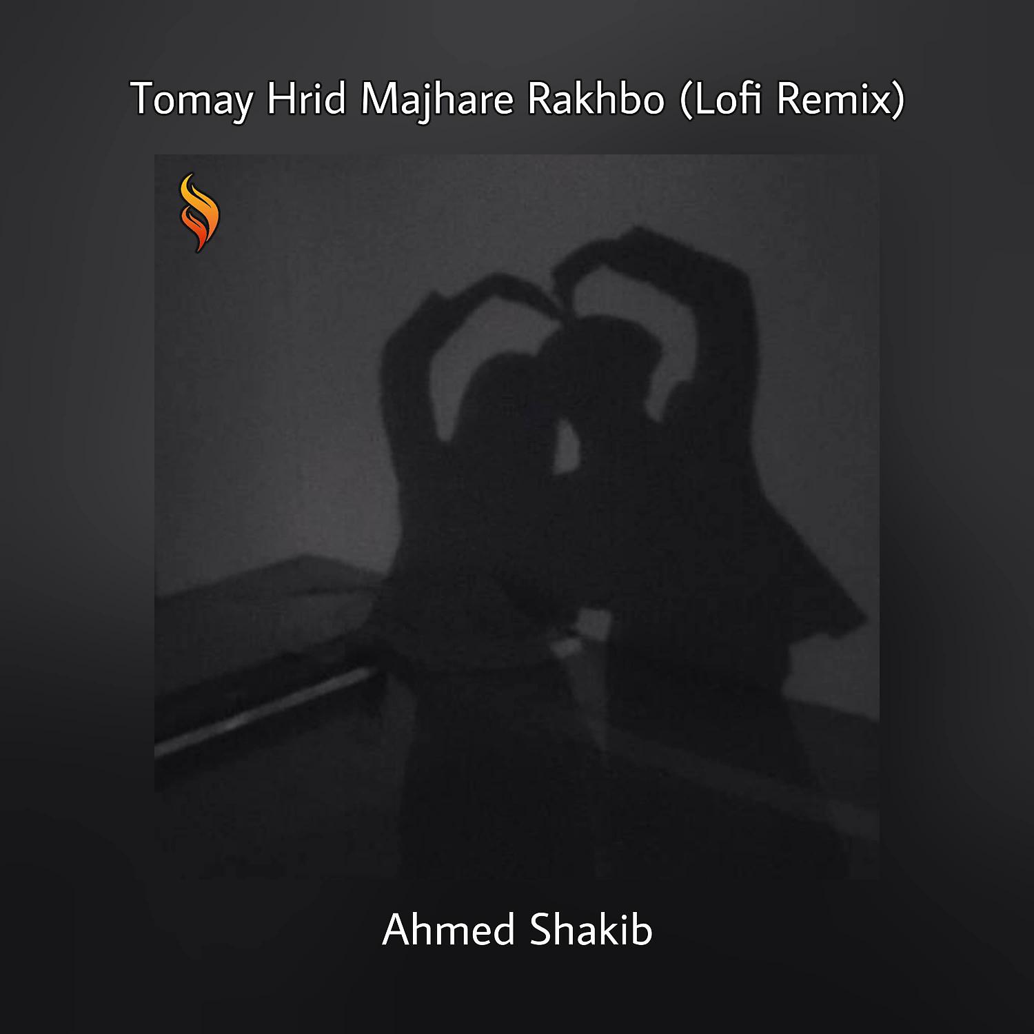 Постер альбома Tomay Hrid Majhare Rakhbo (Lofi Remix)