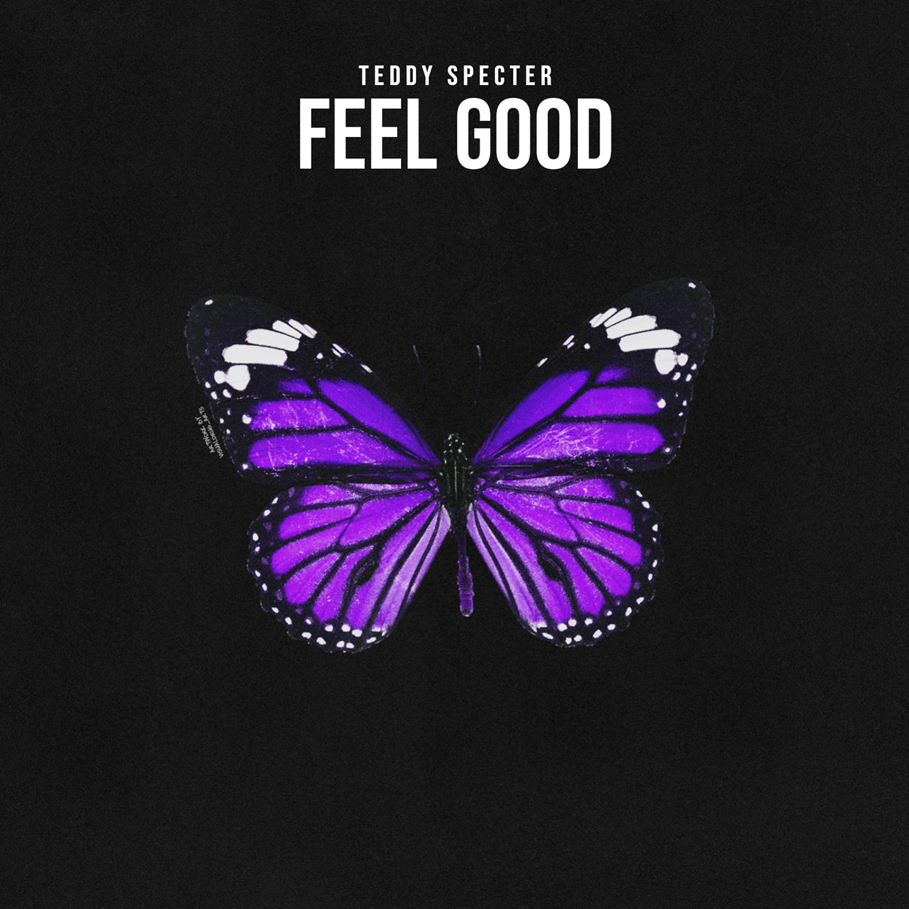 Teddy Specter - Feel Good