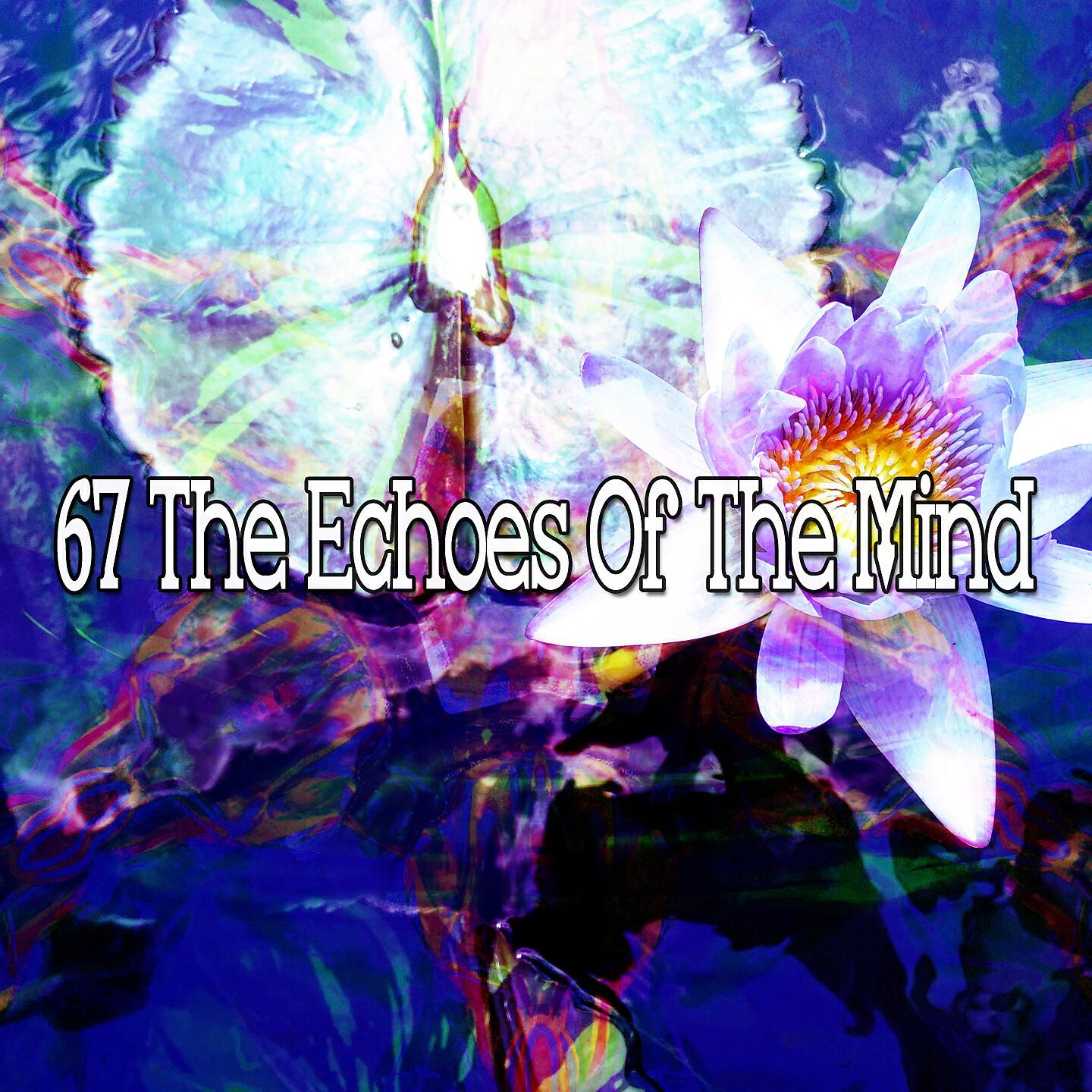 Asian Zen Spa Music Meditation - Zen Desires