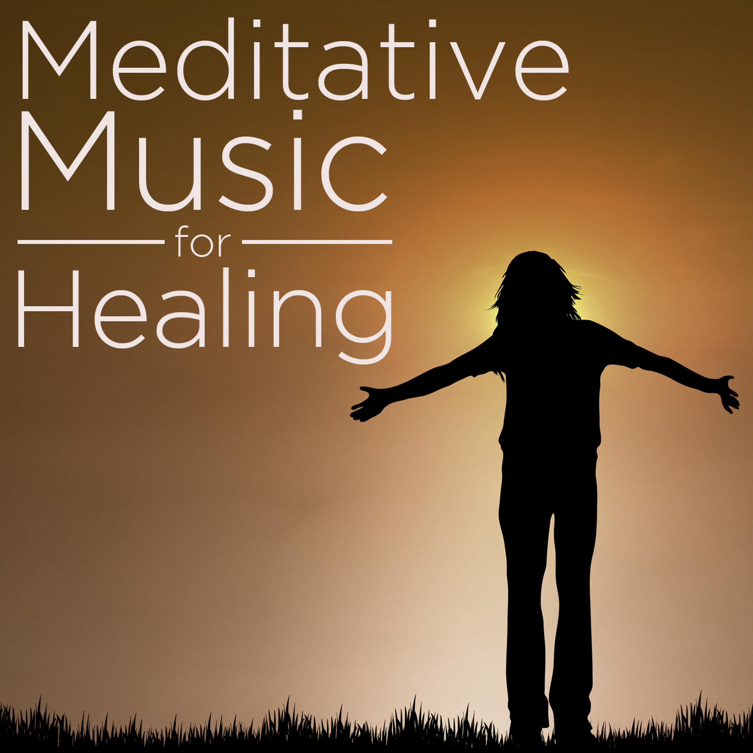 Постер альбома Meditative Music for Healing