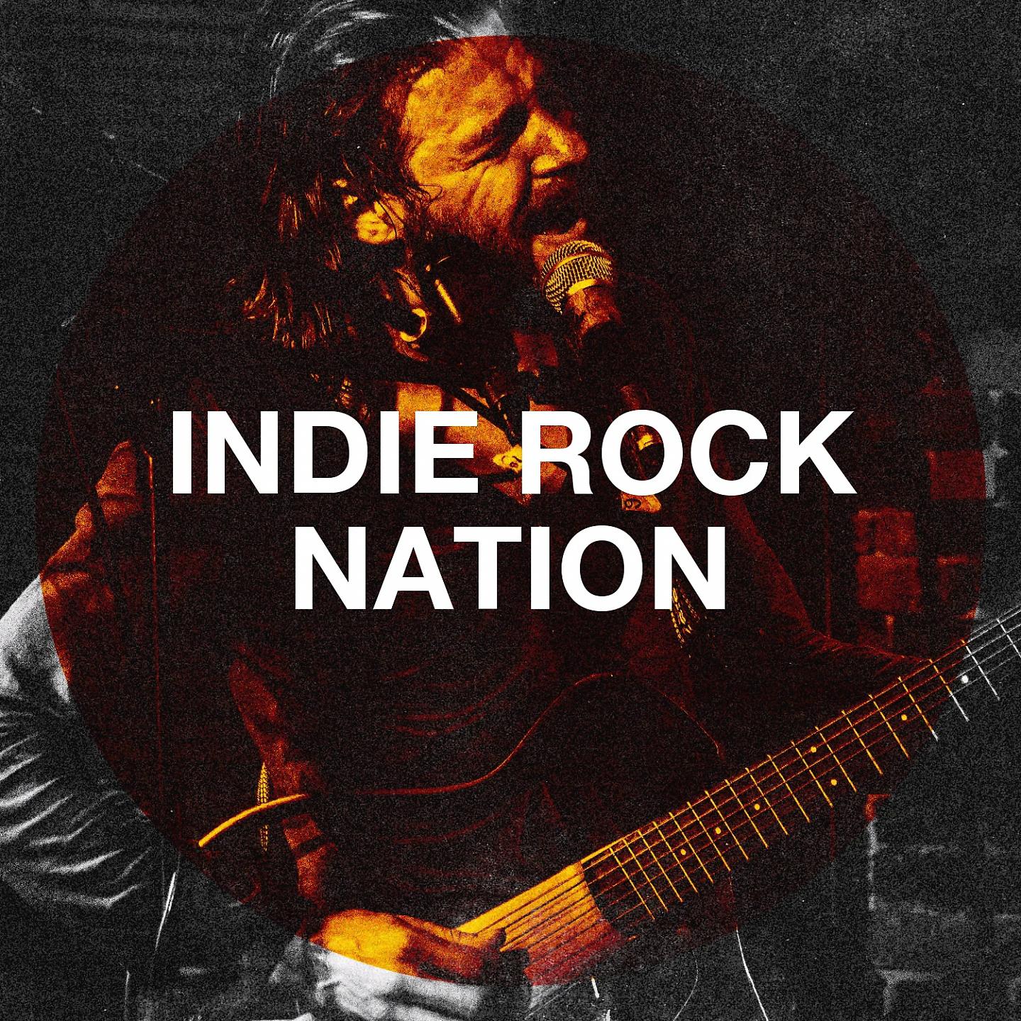 Постер альбома Indie Rock Nation
