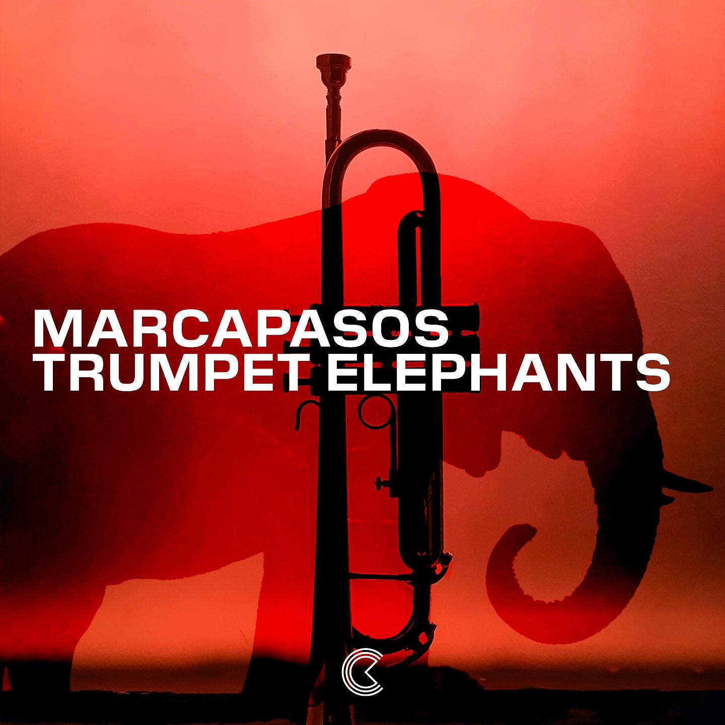 Постер альбома Trumpet Elephants