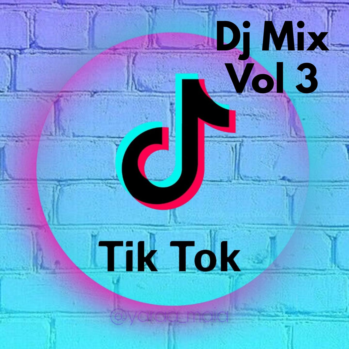 Постер альбома Tik Tok Mix Si Te Lo Sabes Baila 2021 Vol3