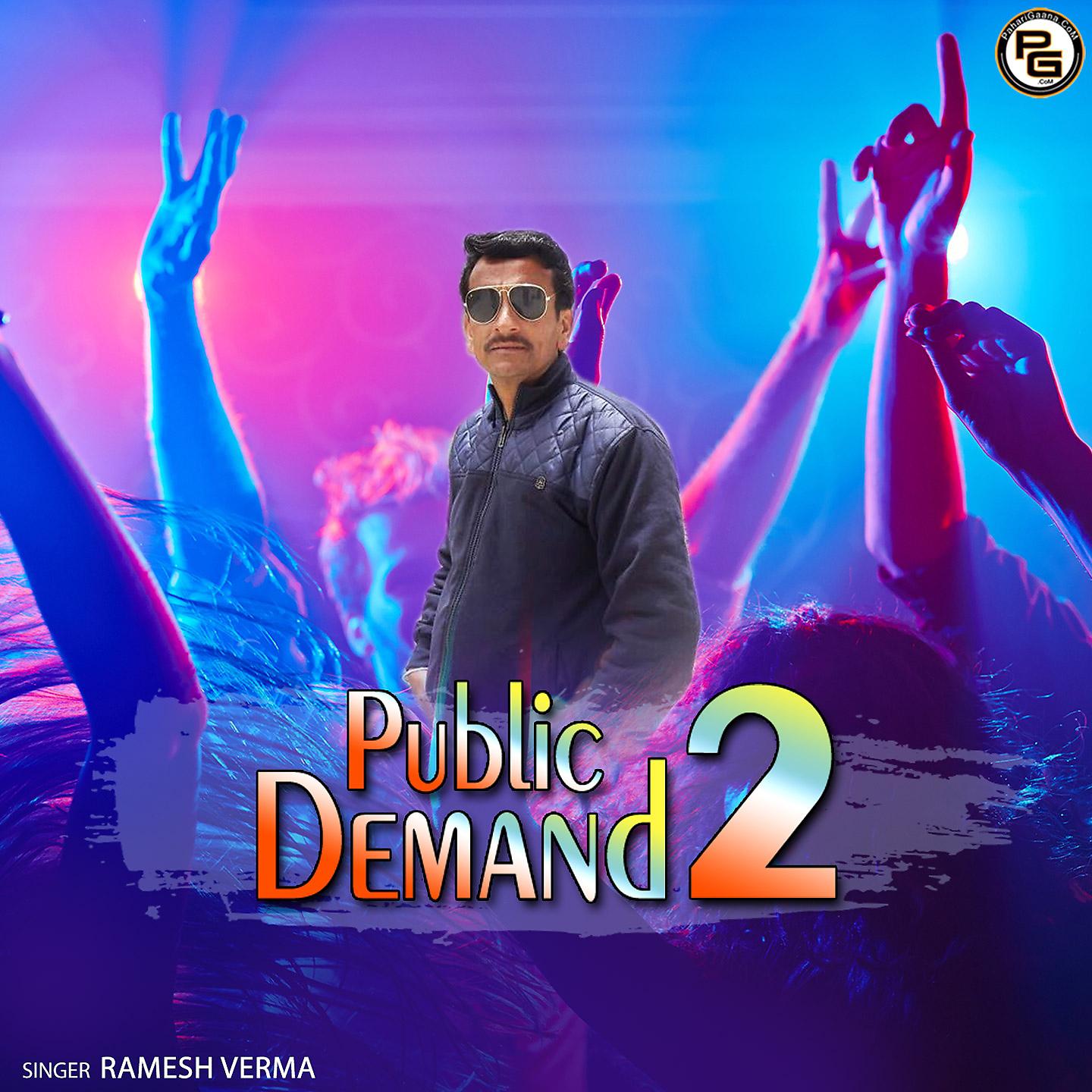 Постер альбома Public Demand 2
