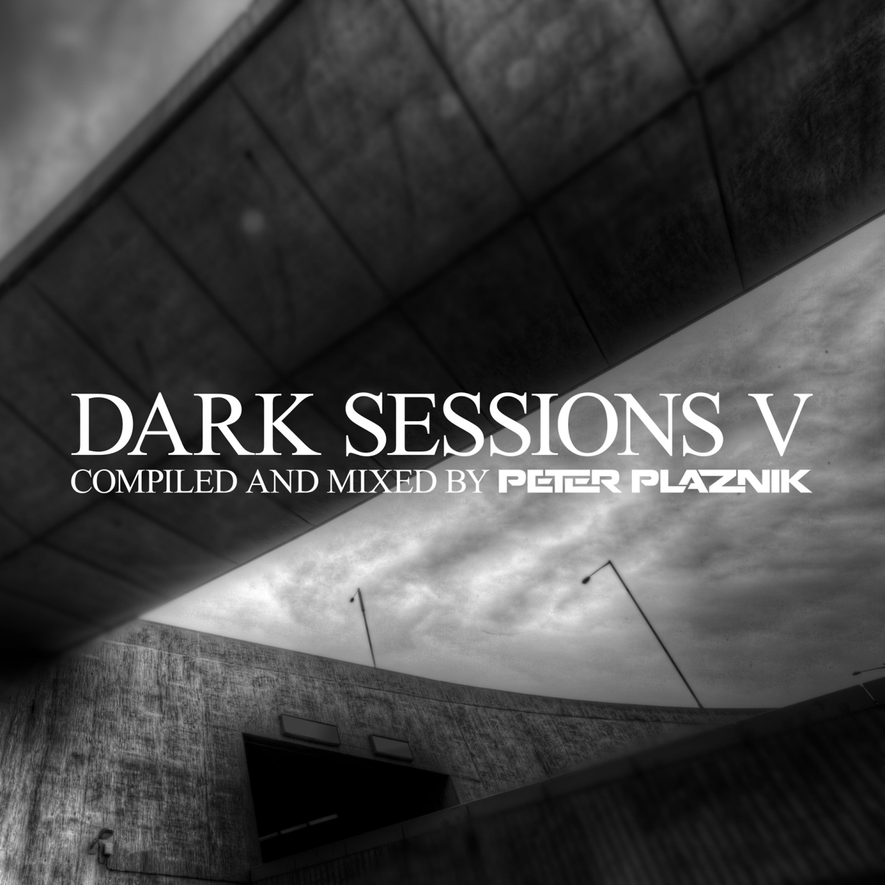Постер альбома Dark Sessions V (Mixed By Peter Plaznik)
