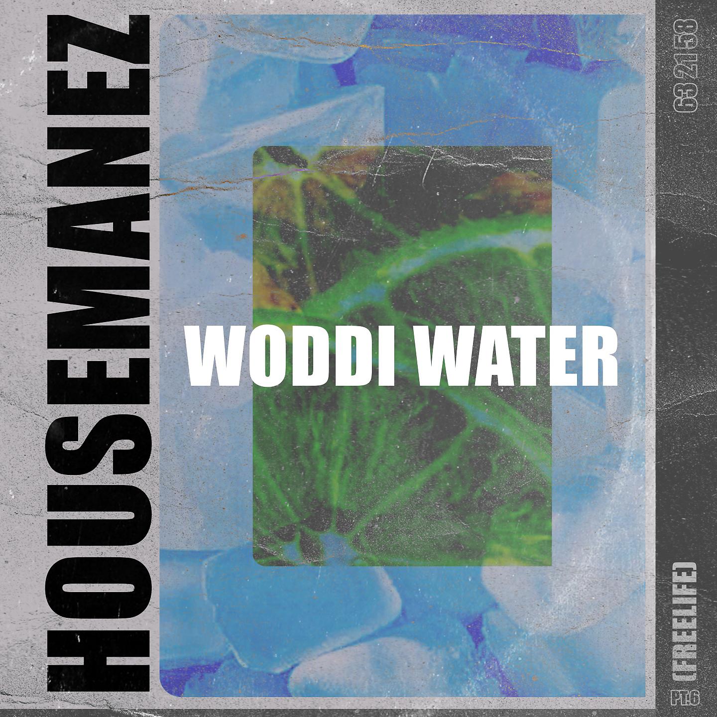 Постер альбома Woddi Water