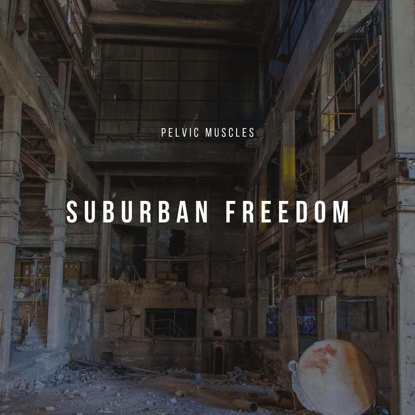 Постер альбома Suburban Freedom