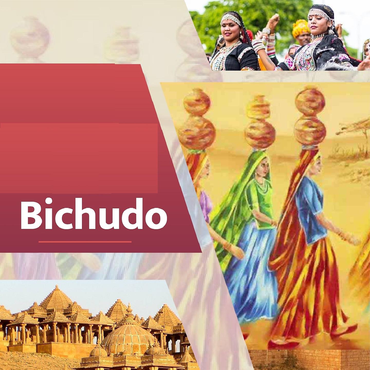 Постер альбома Bichudo