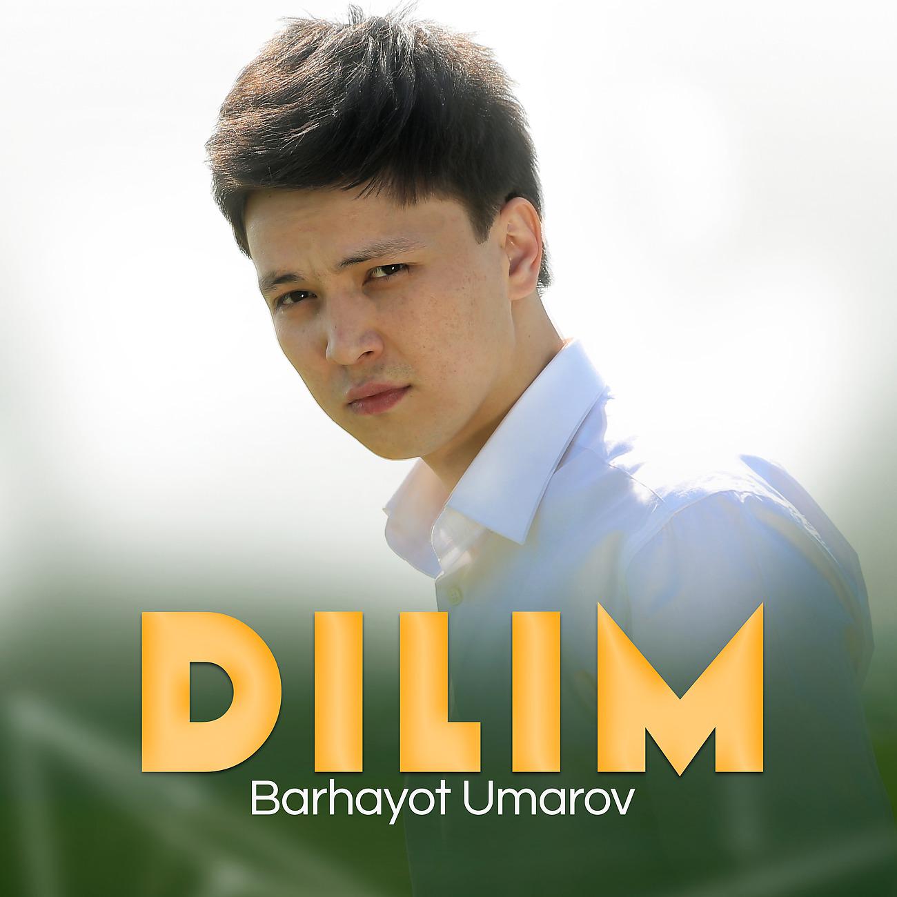 Постер альбома Dilim