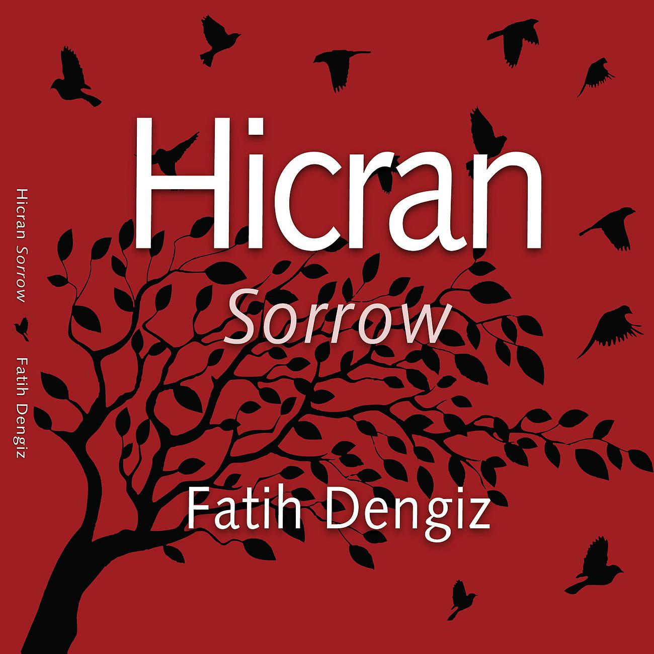 Постер альбома Hicran