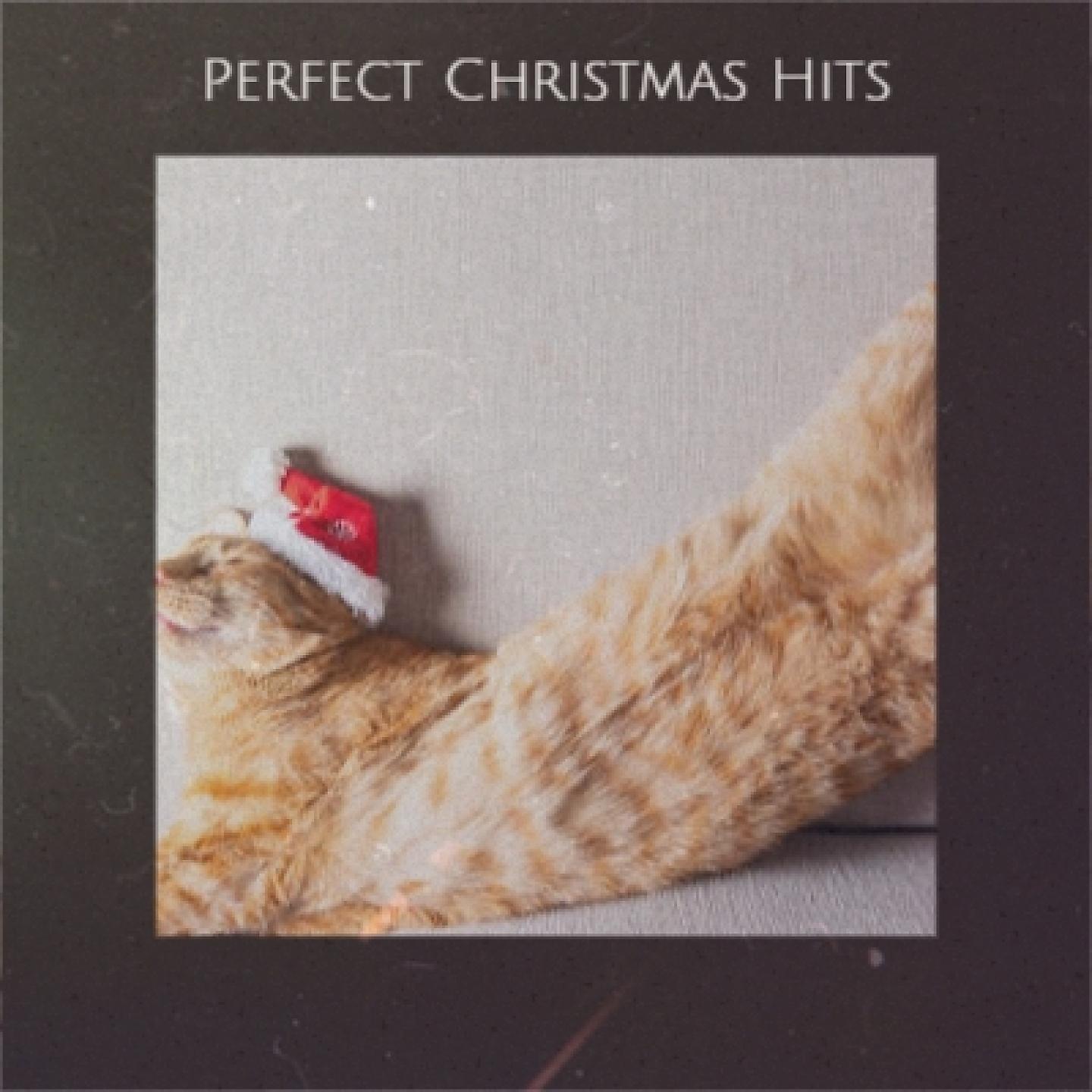 Постер альбома Perfect Christmas Hits