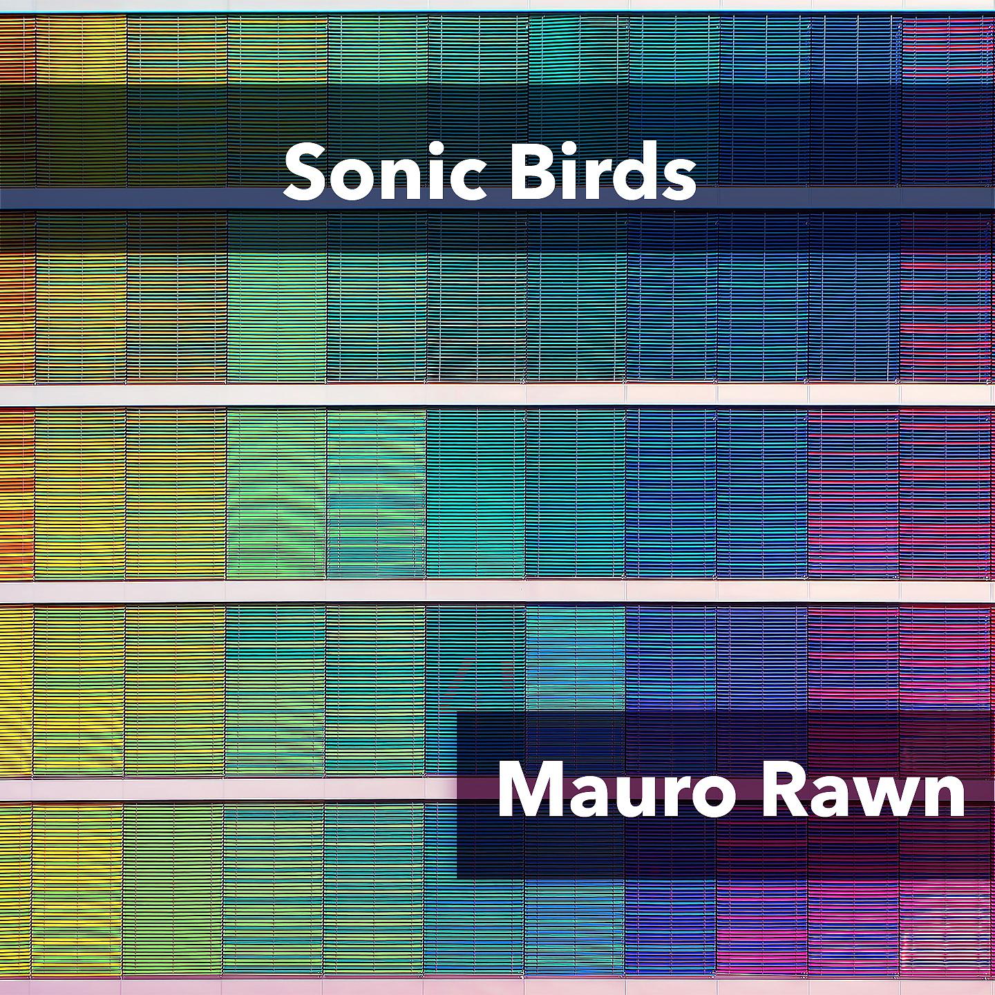 Постер альбома Sonic Birds